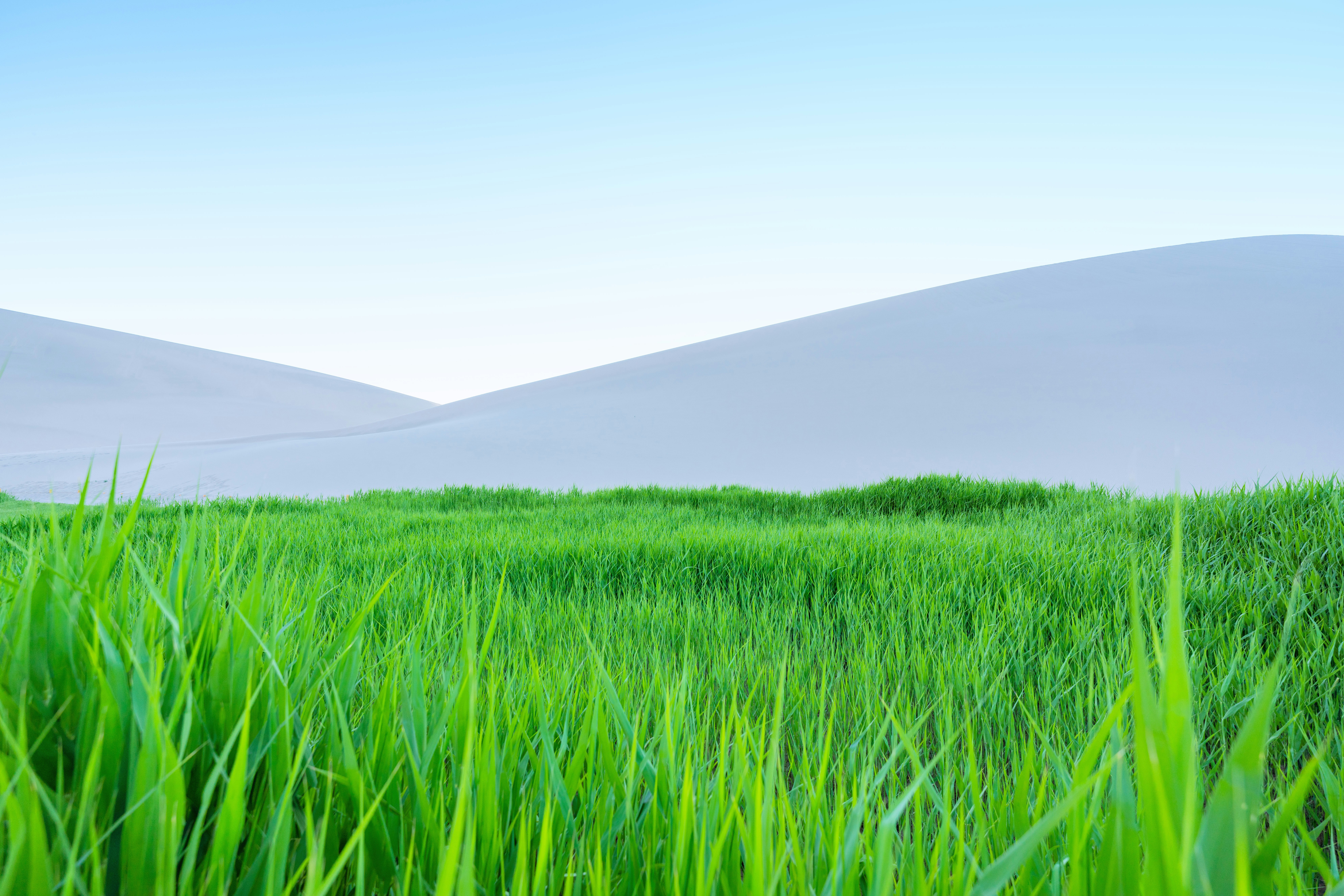 A field of green grass with hills in the background photo – Free Green ...