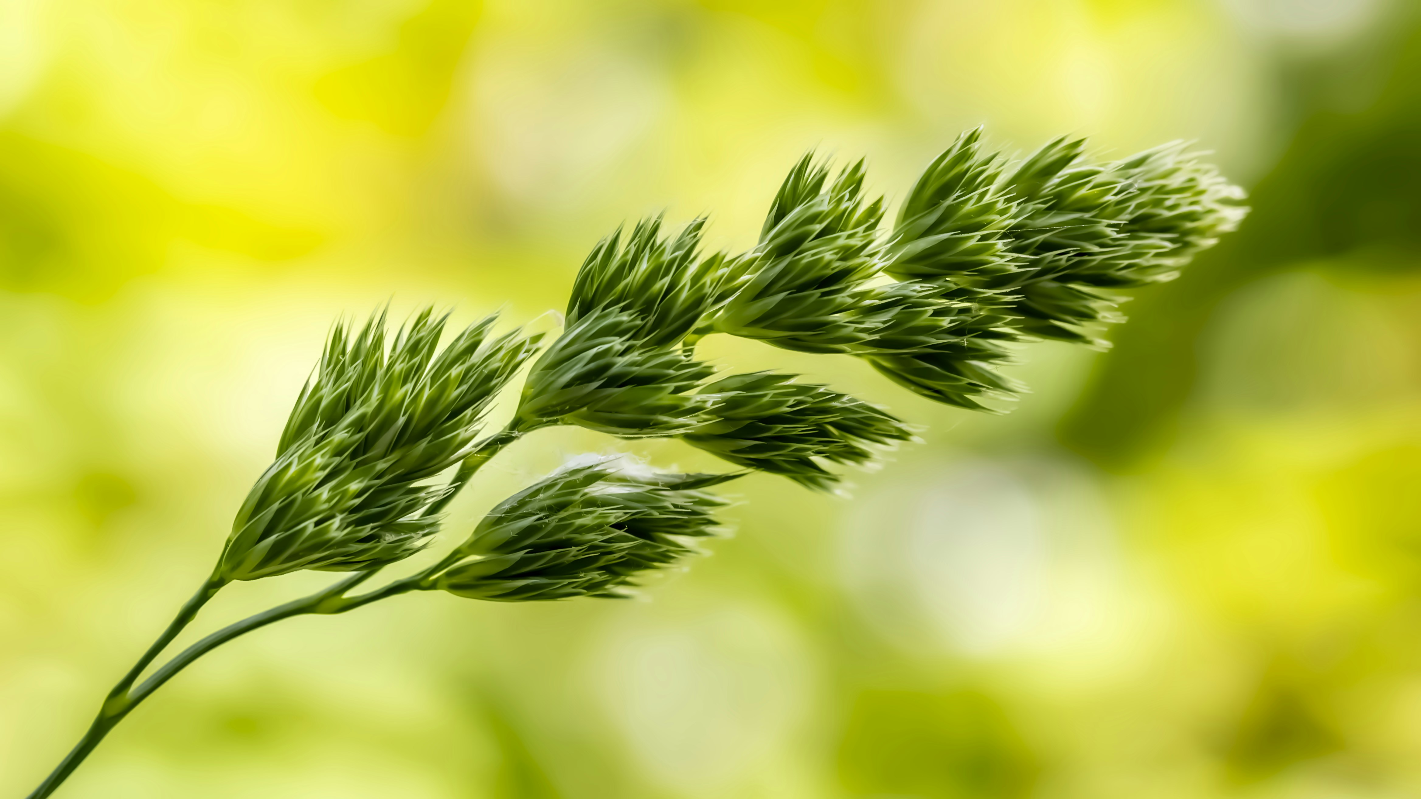 Photo by peterbbryan