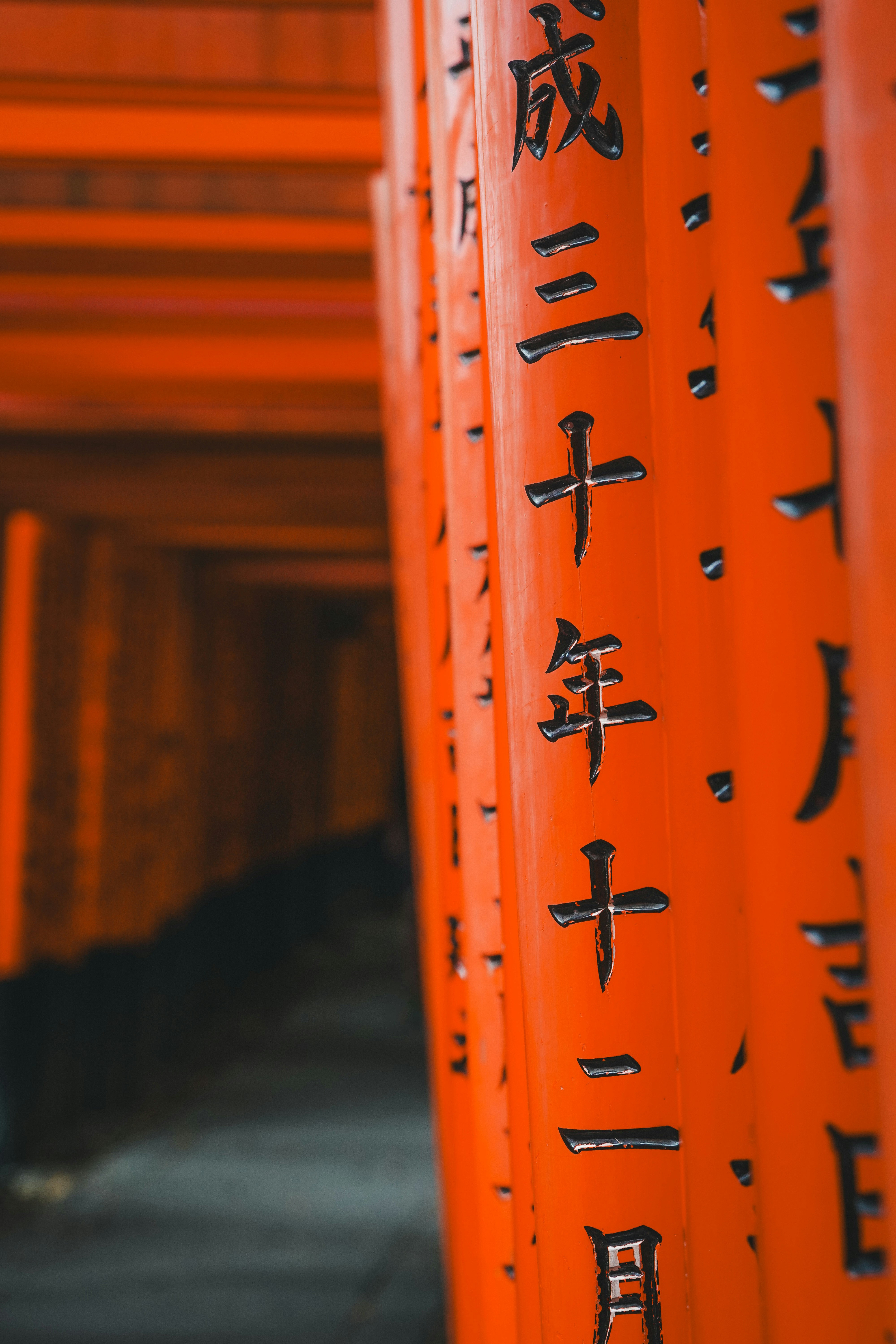 Photo by kevin_charit