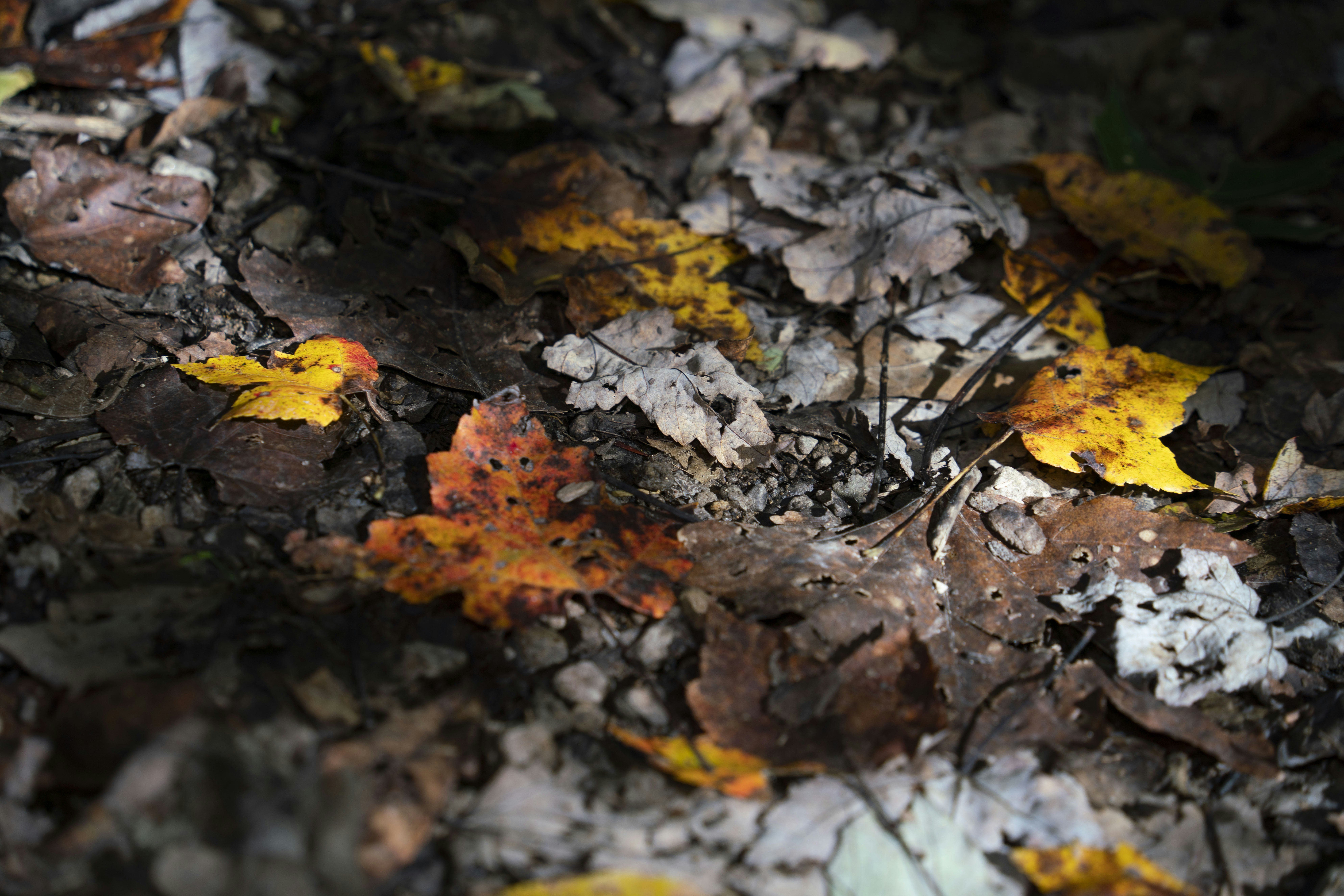 Photo by smithsonian8088