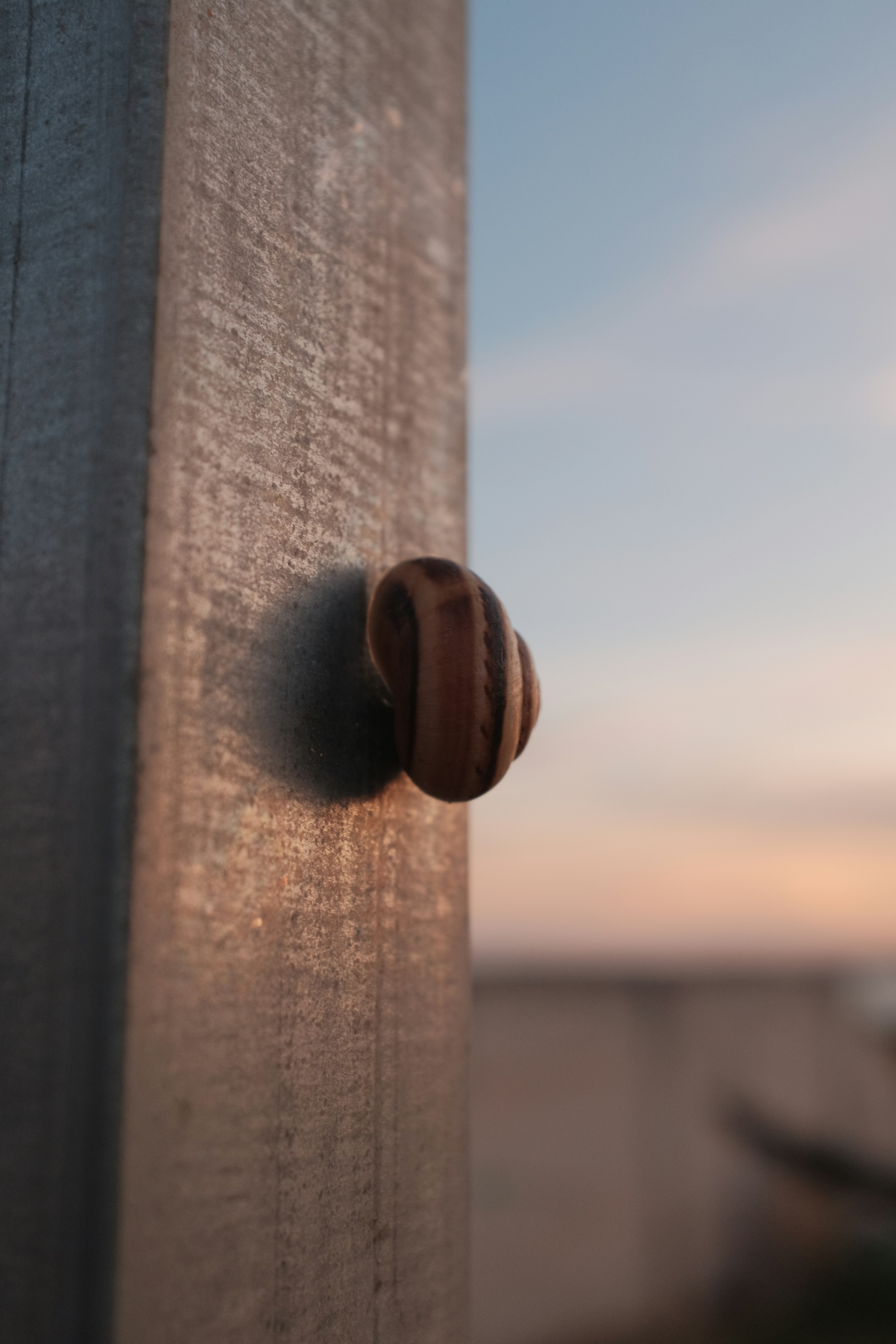 un primo piano di una maniglia di una porta su una porta di legno