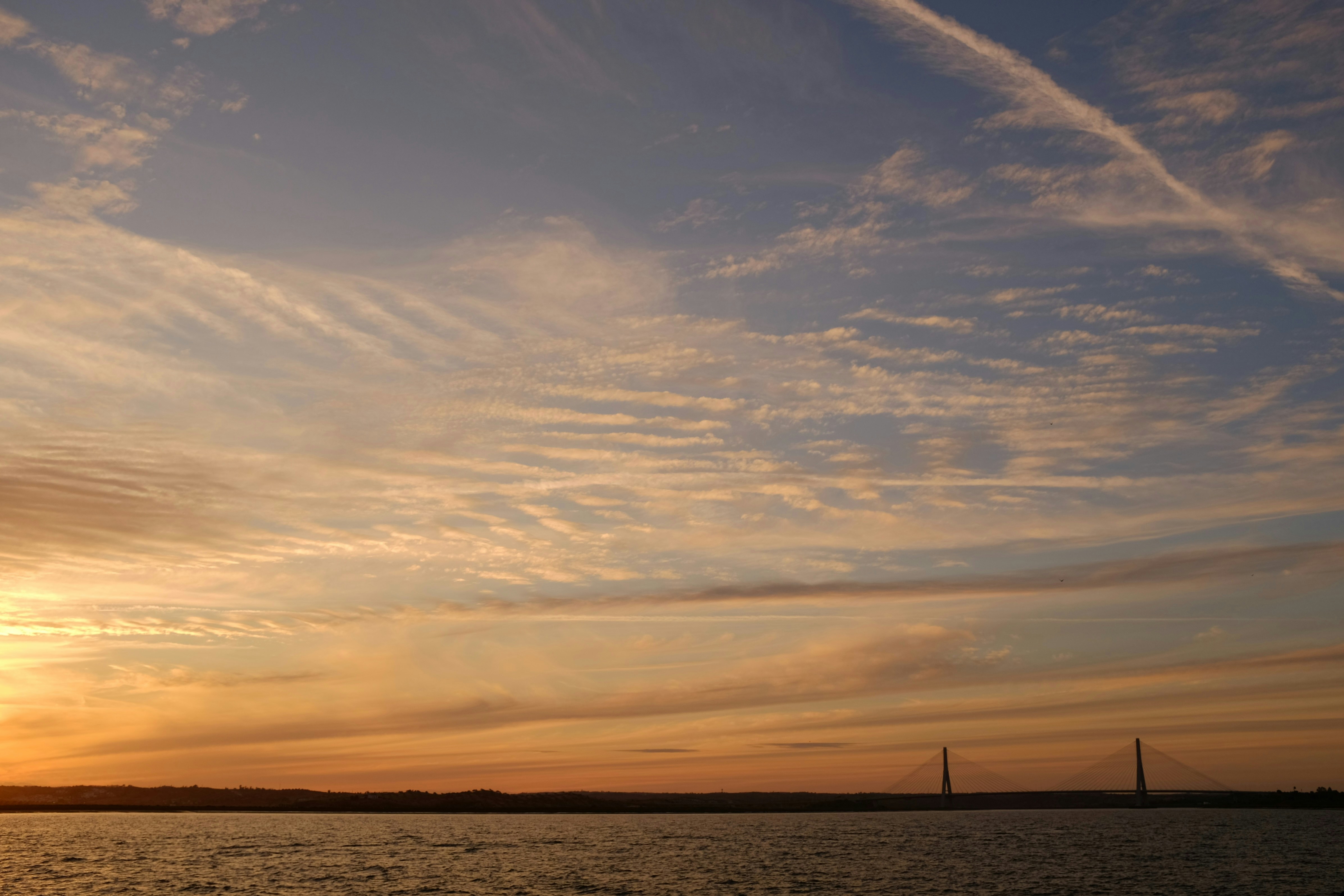 Photo by theurbanarab