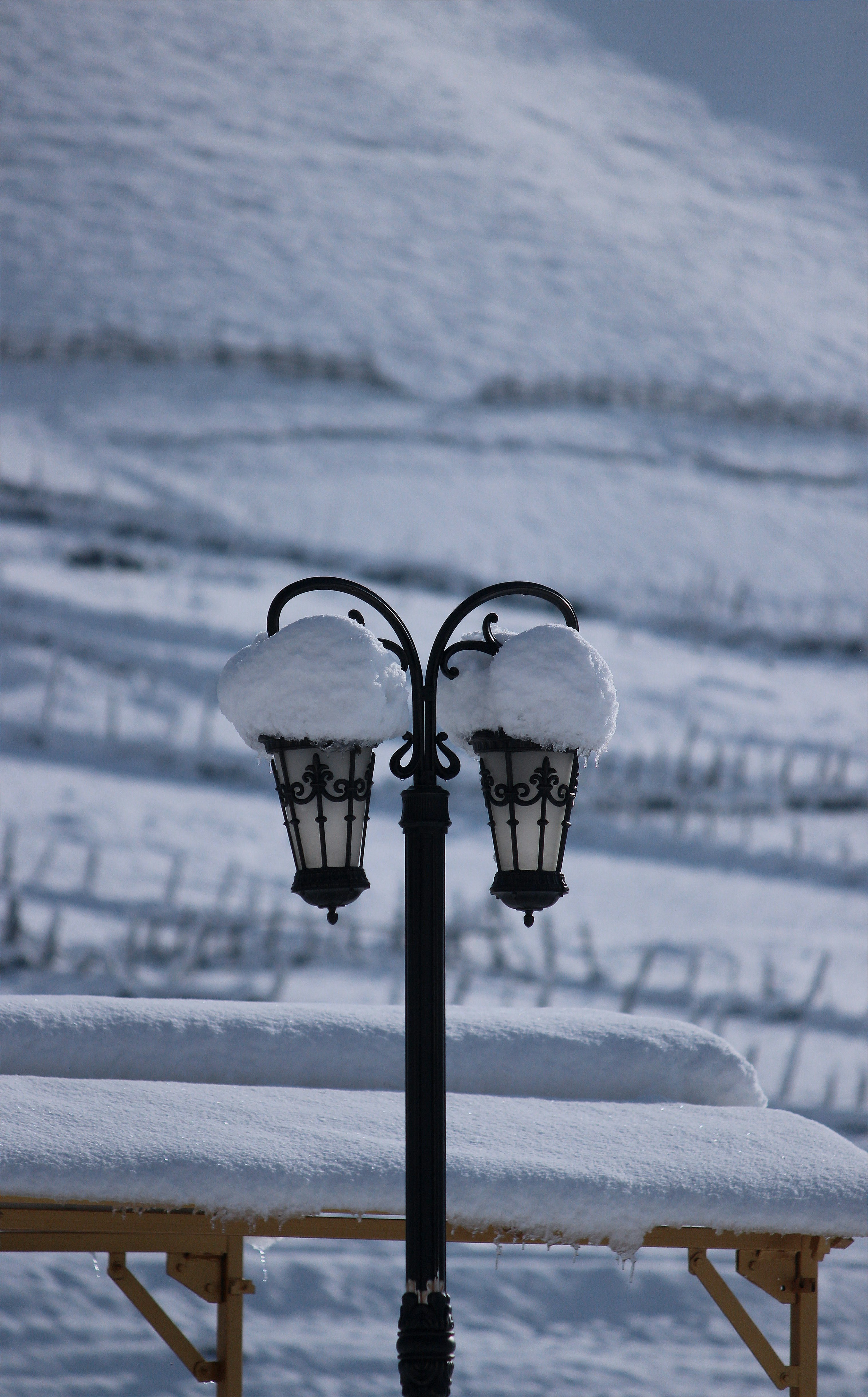 a street light covered in snow on a snowy day