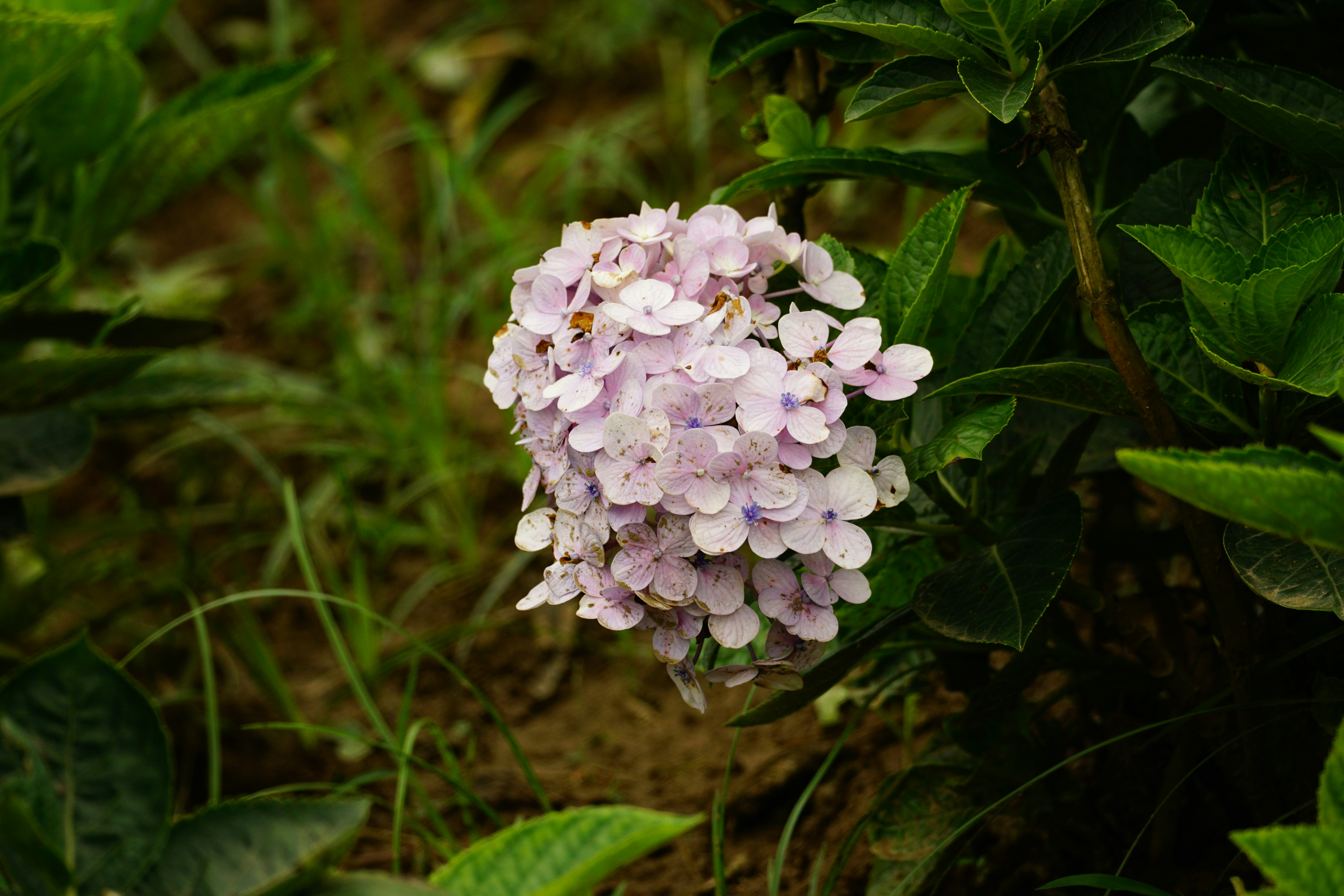 Photo by leducduy