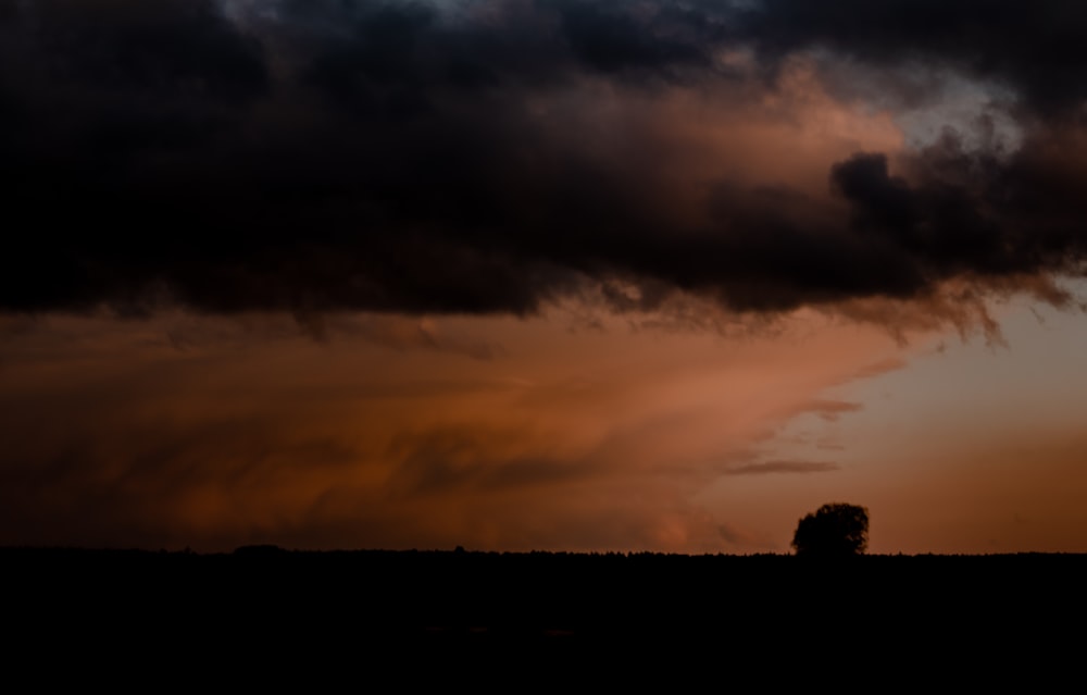 a lone tree is silhouetted against a cloudy sky