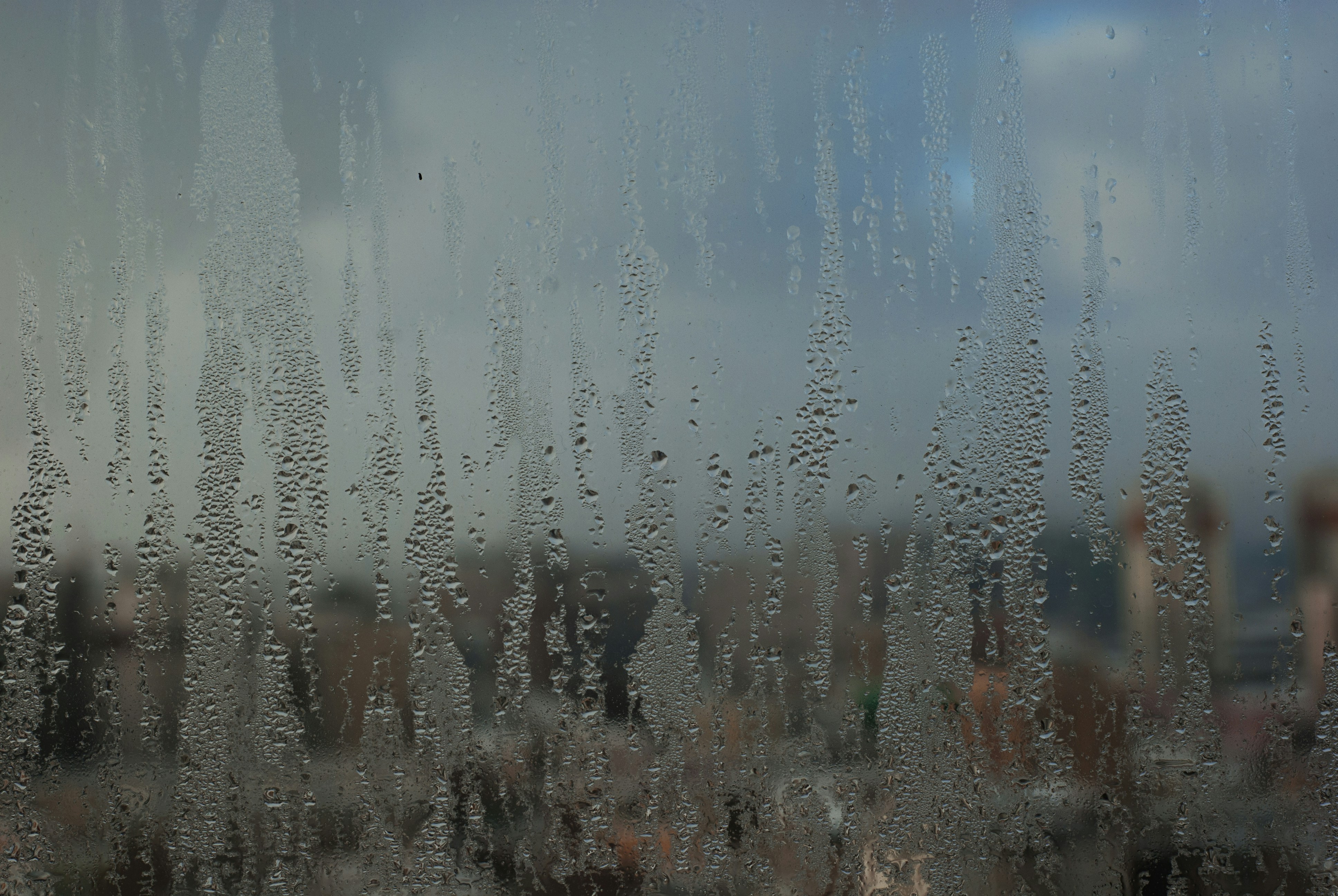 Photo by kovalskihelga