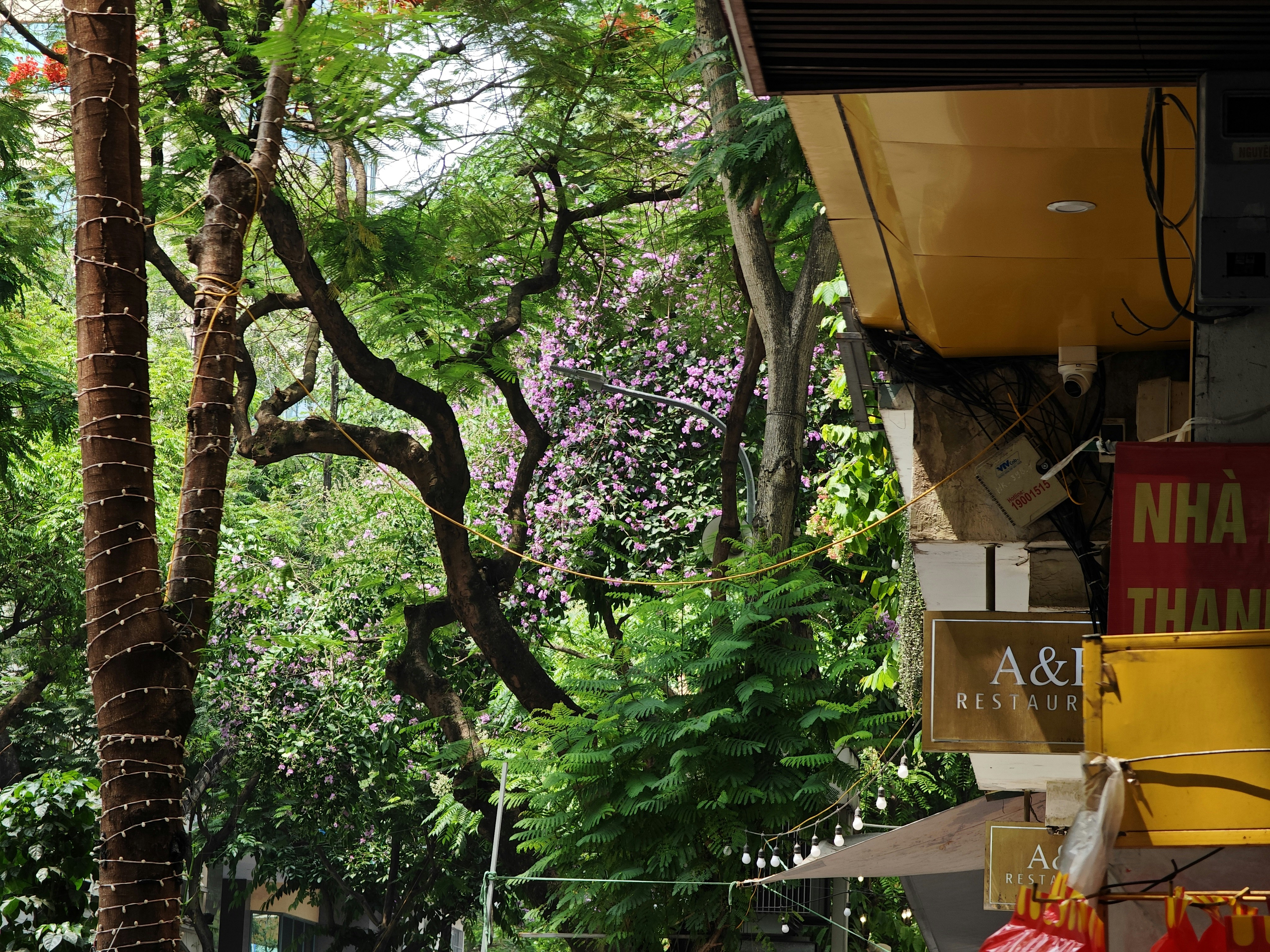 Photo by trunghahaha