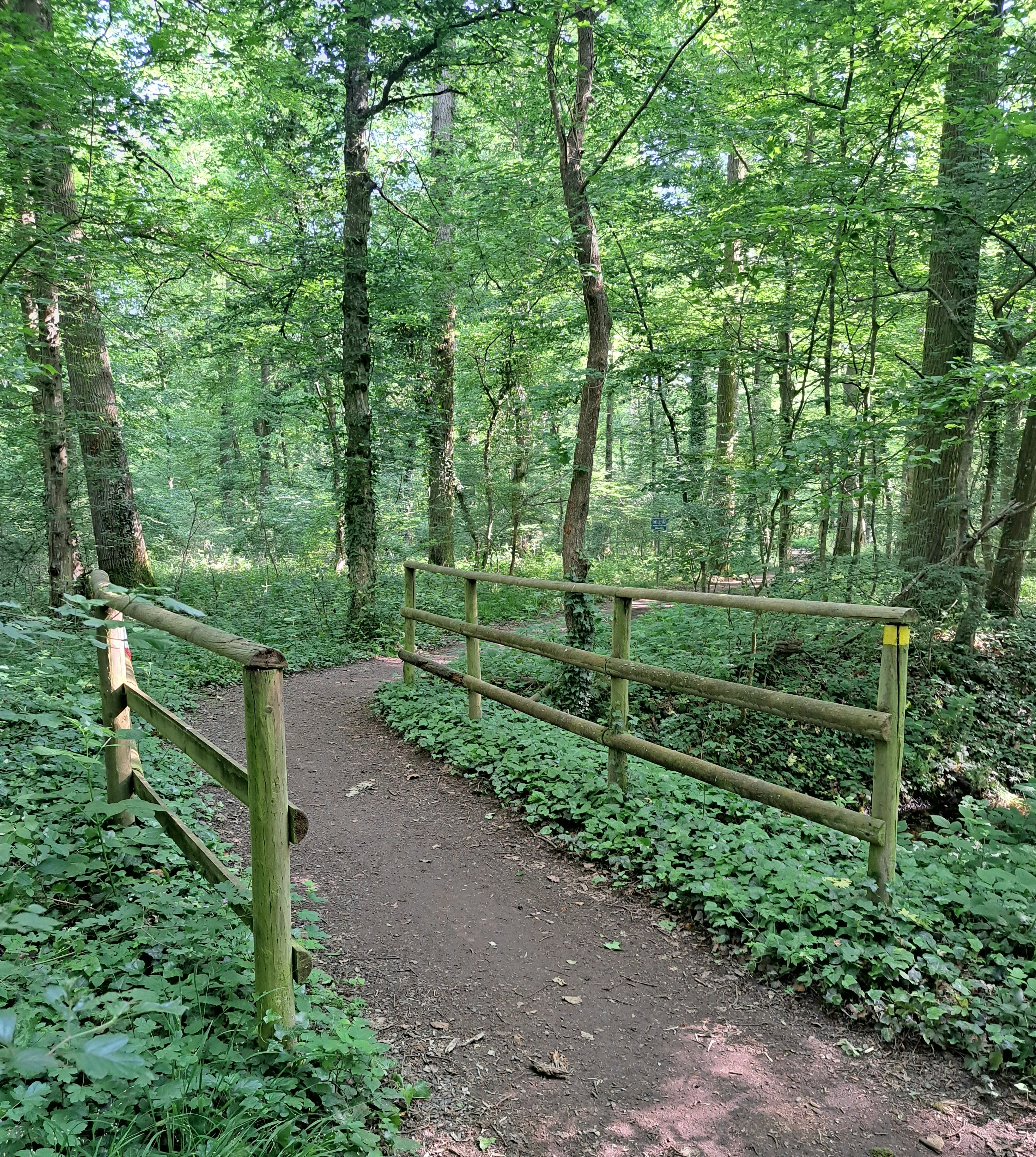 Photo by schreibmich