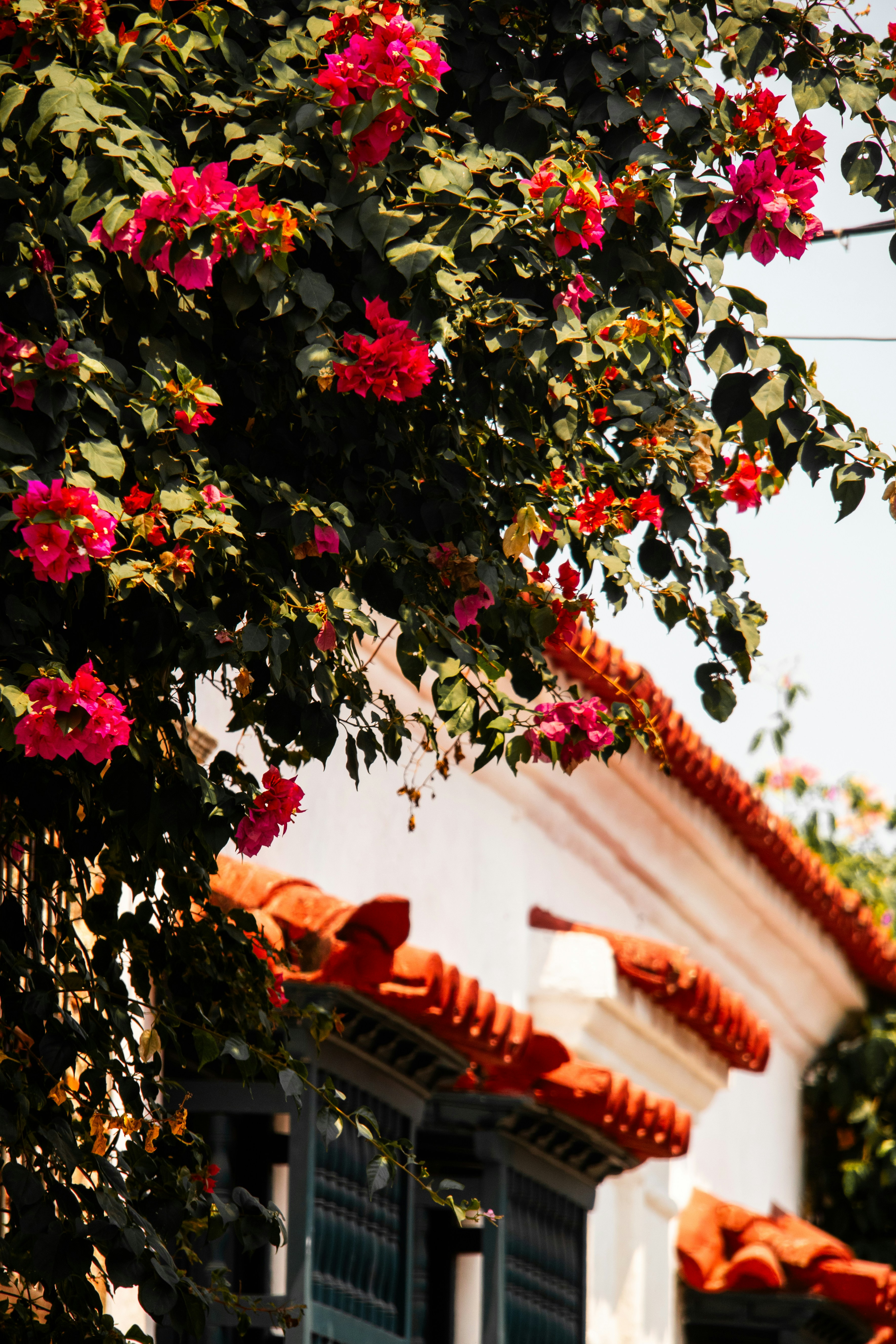 Photo by woomantsing