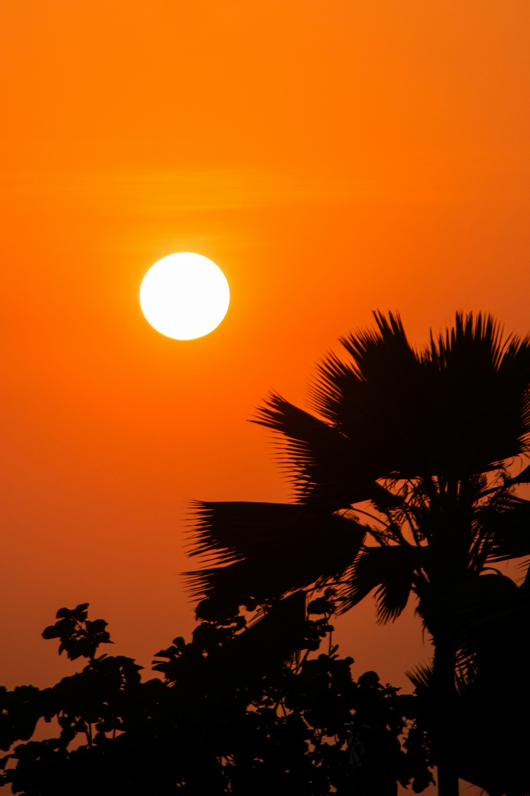 Photo by woomantsing