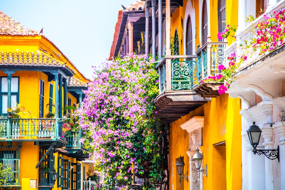 a row of colorful buildings with flowers growing on the balconies