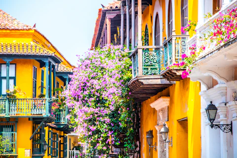 Colorful market detail