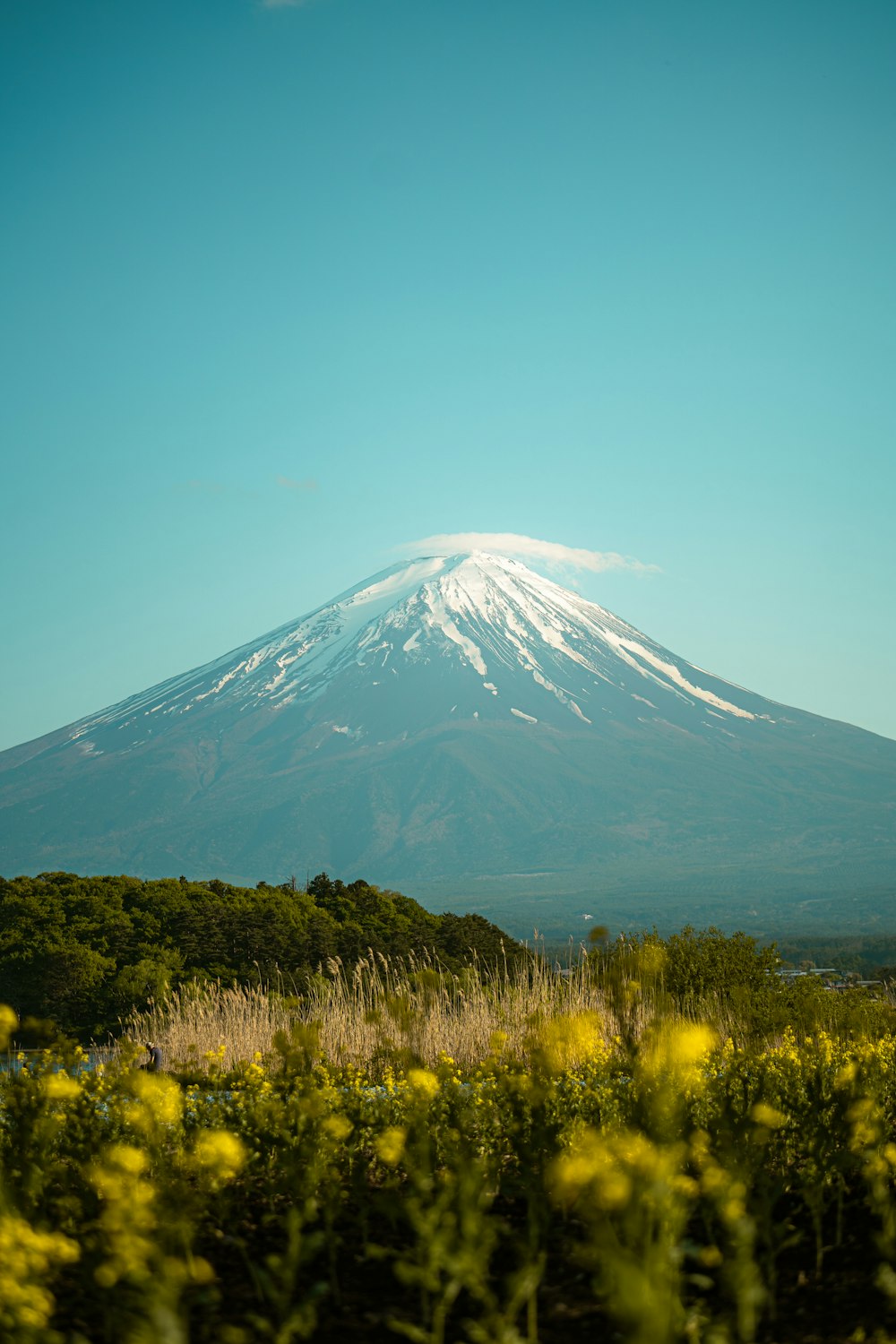 a mountain with a snow capped peak in the distance