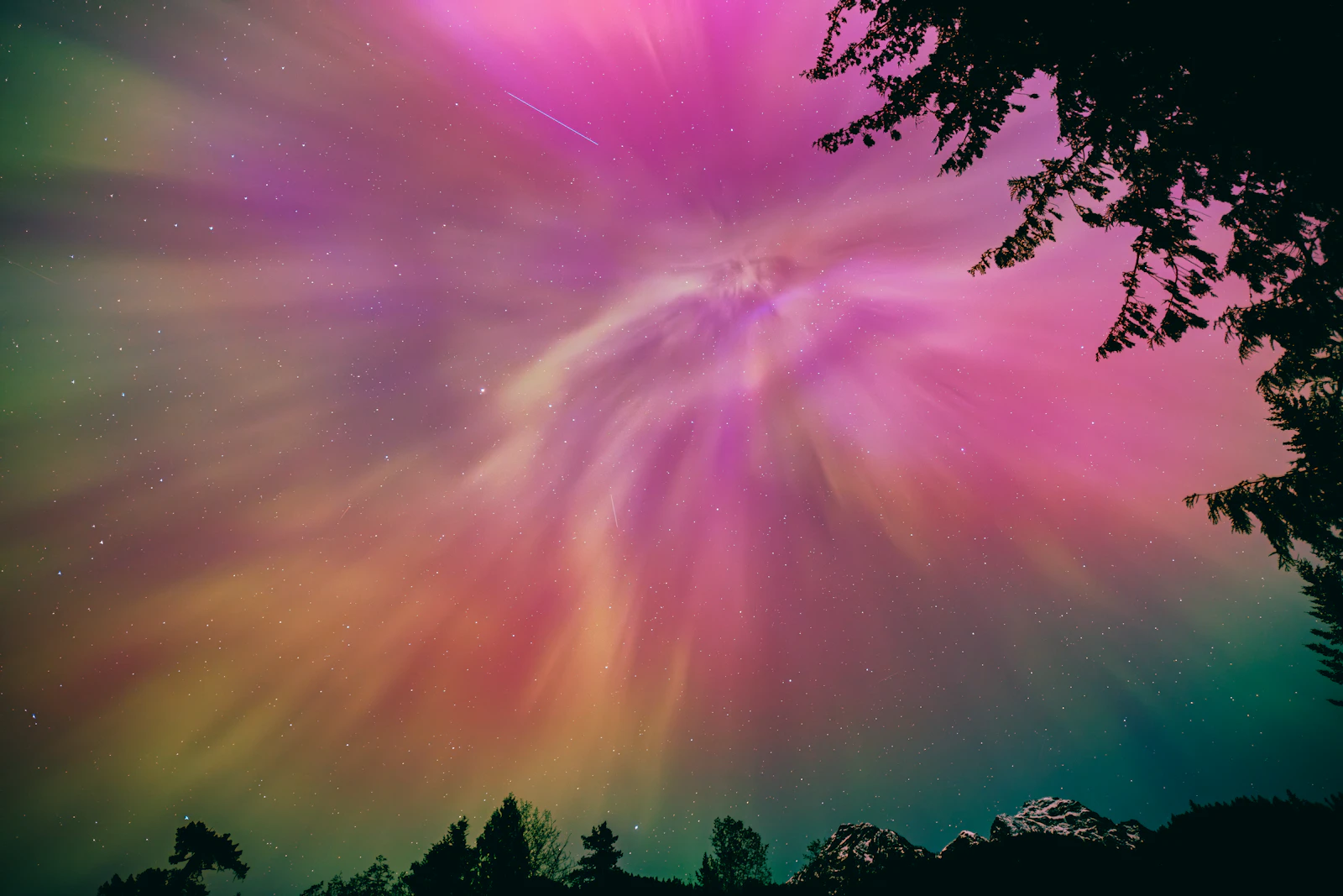 Overhead aurora corona in pink, magenta, yellow and green above dark treetops