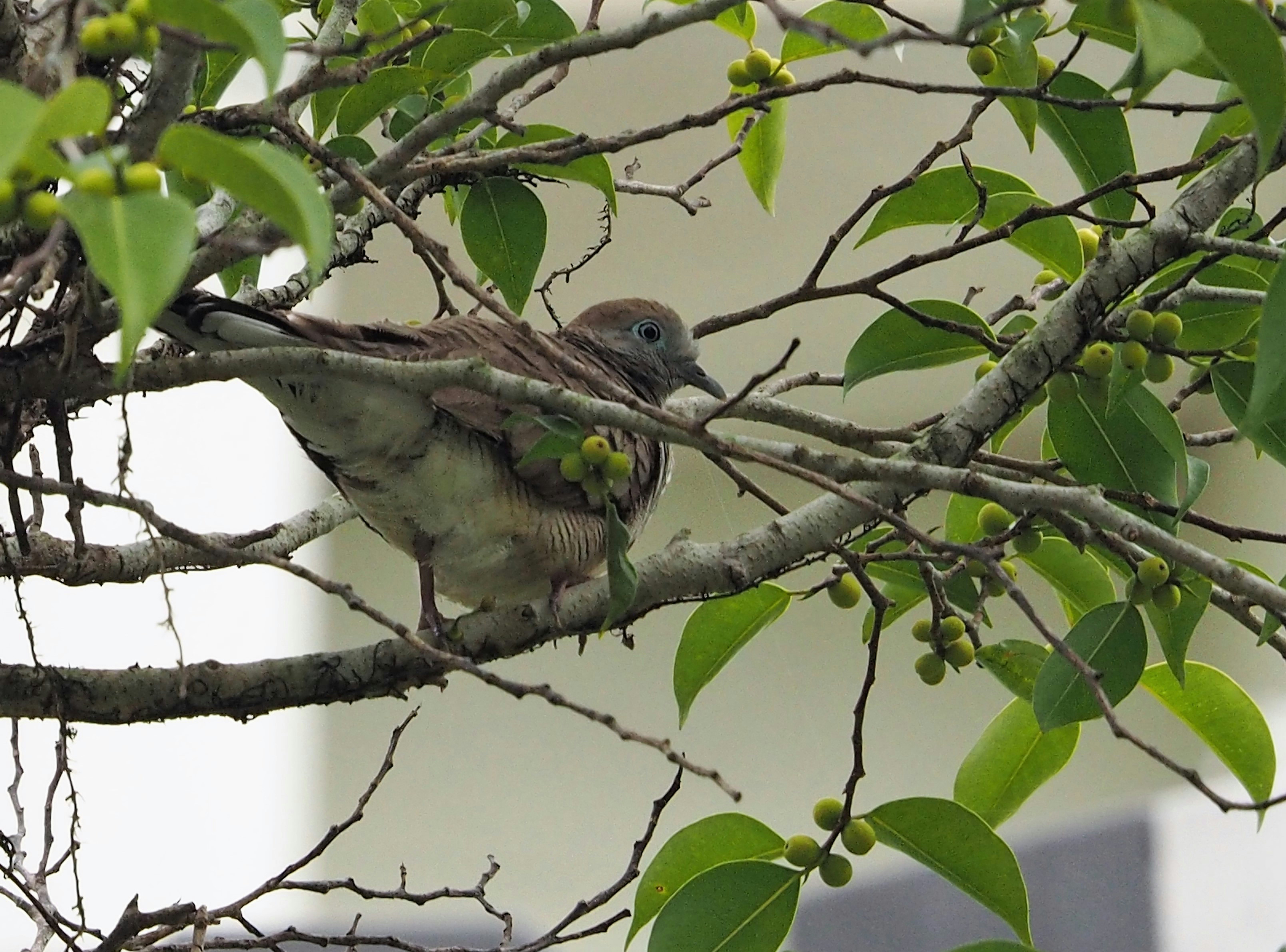 Photo by mhphotography13