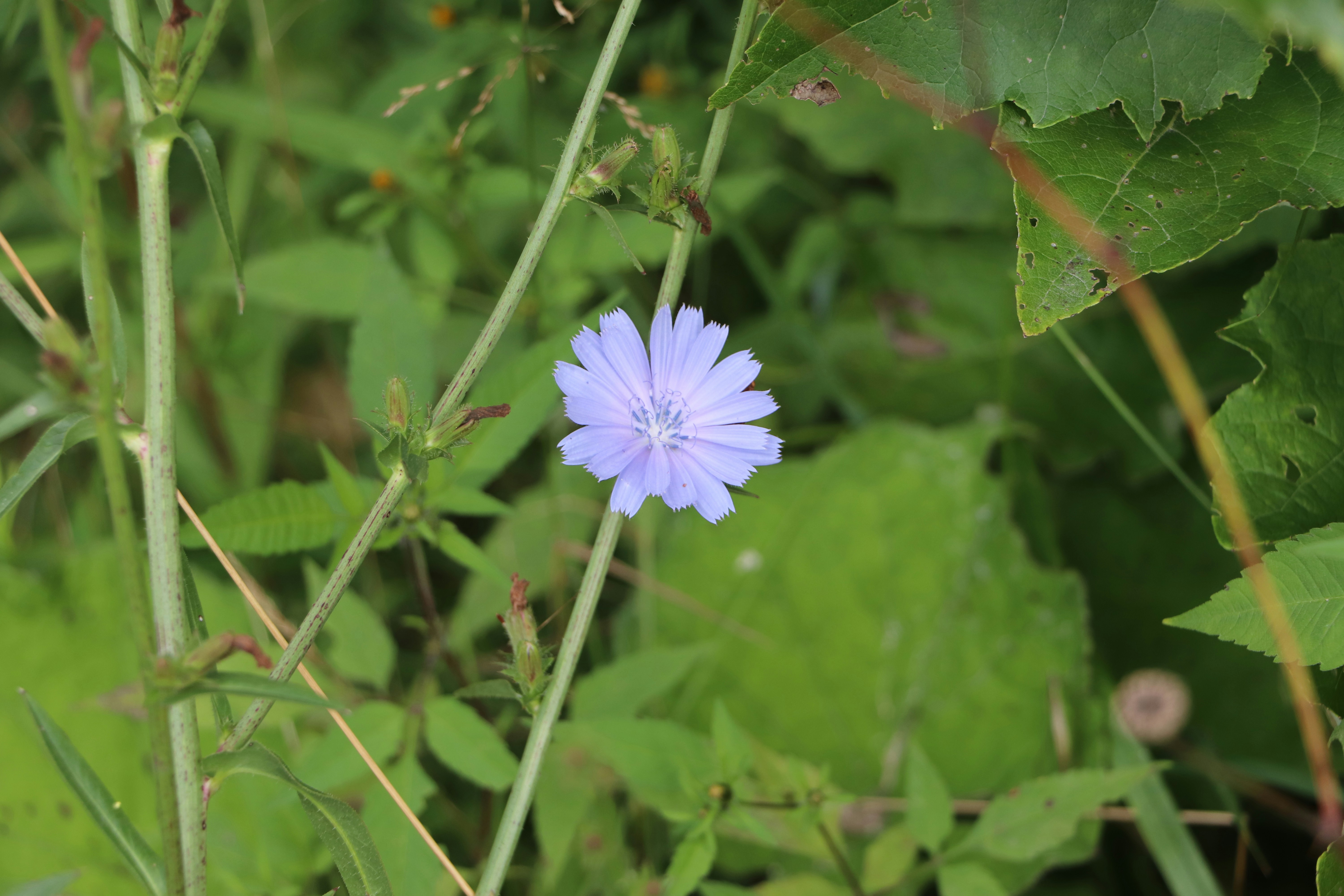 Photo by farhansabir