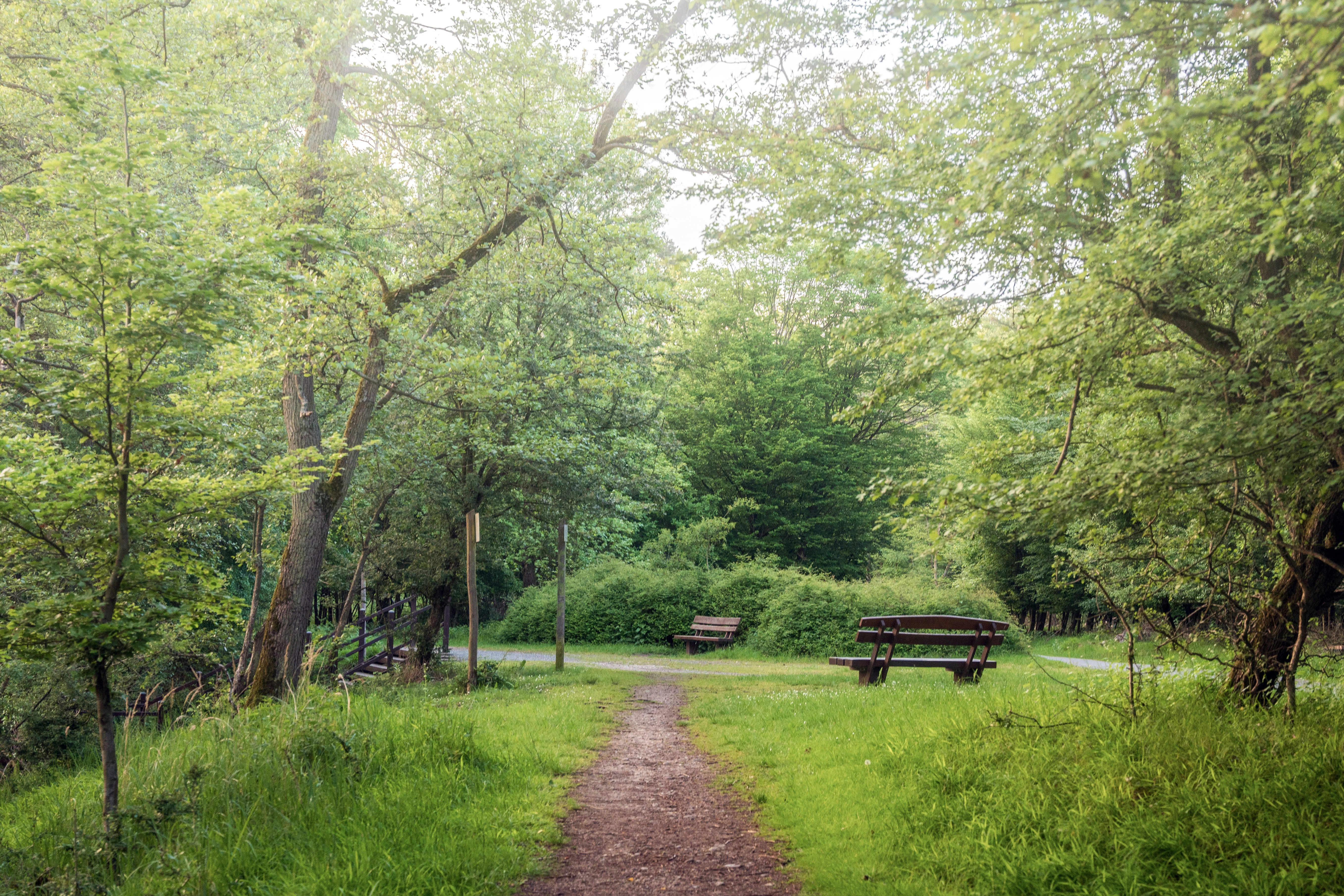 Photo by masoodaslami