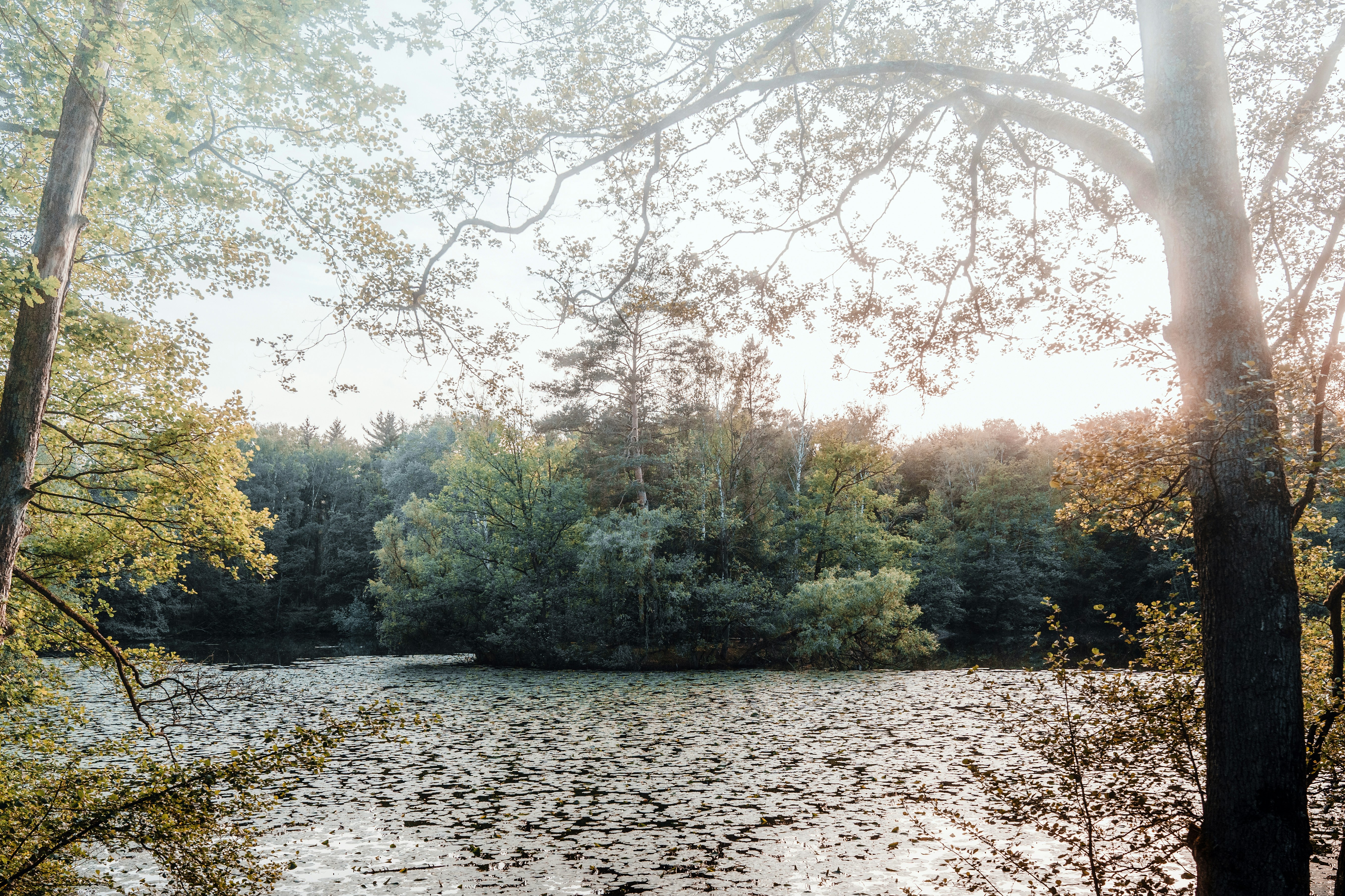 Photo by masoodaslami