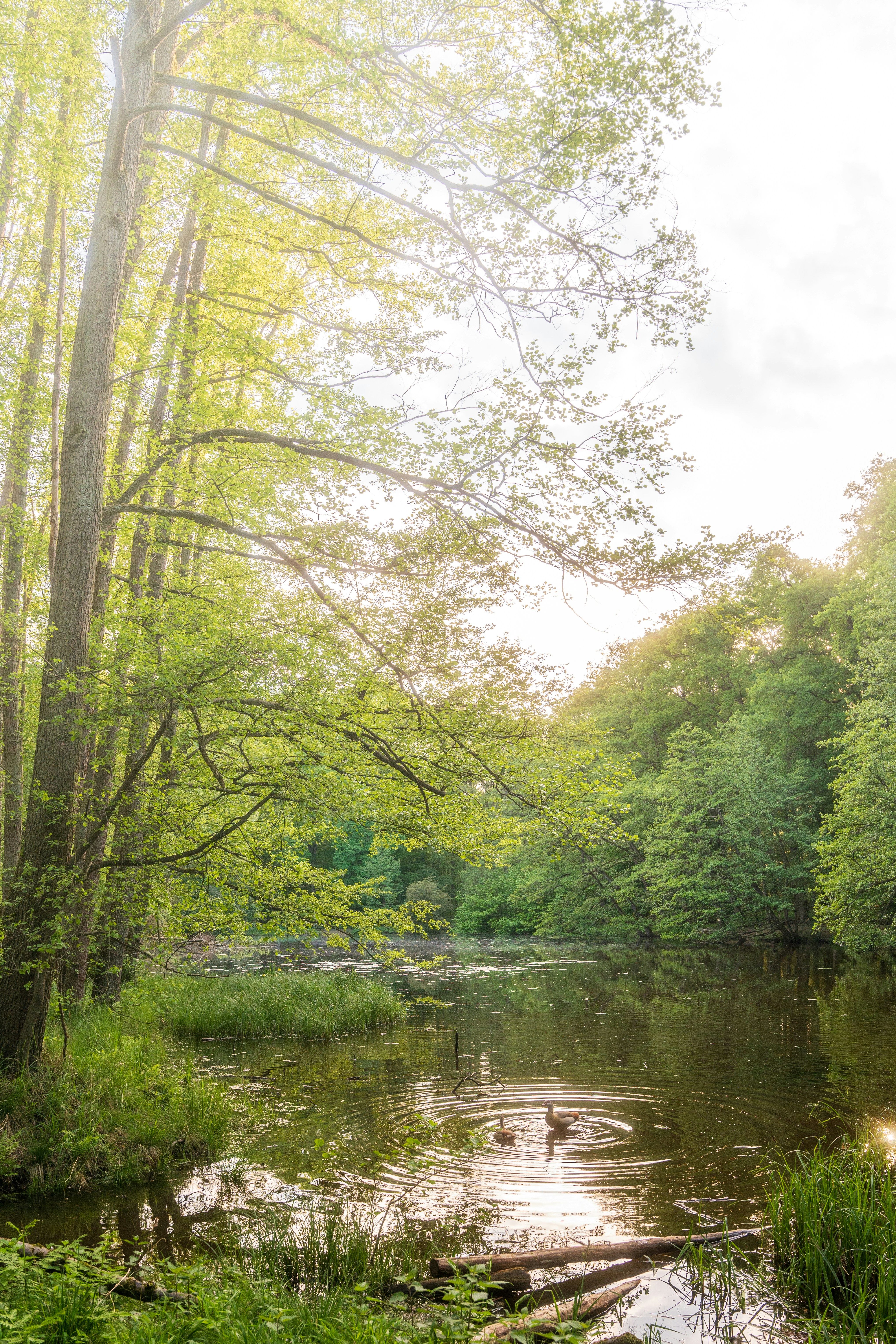 Photo by masoodaslami