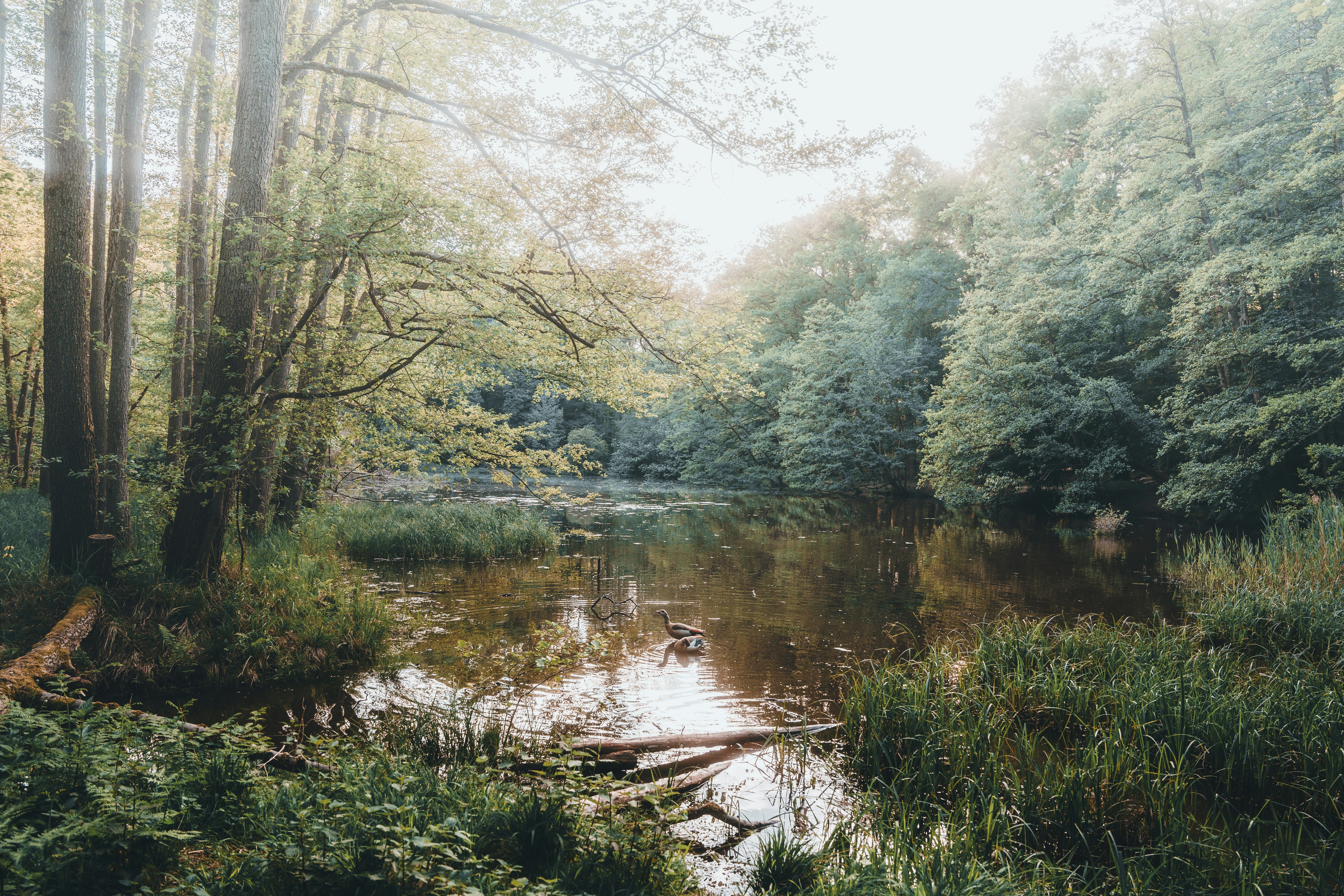 Photo by masoodaslami