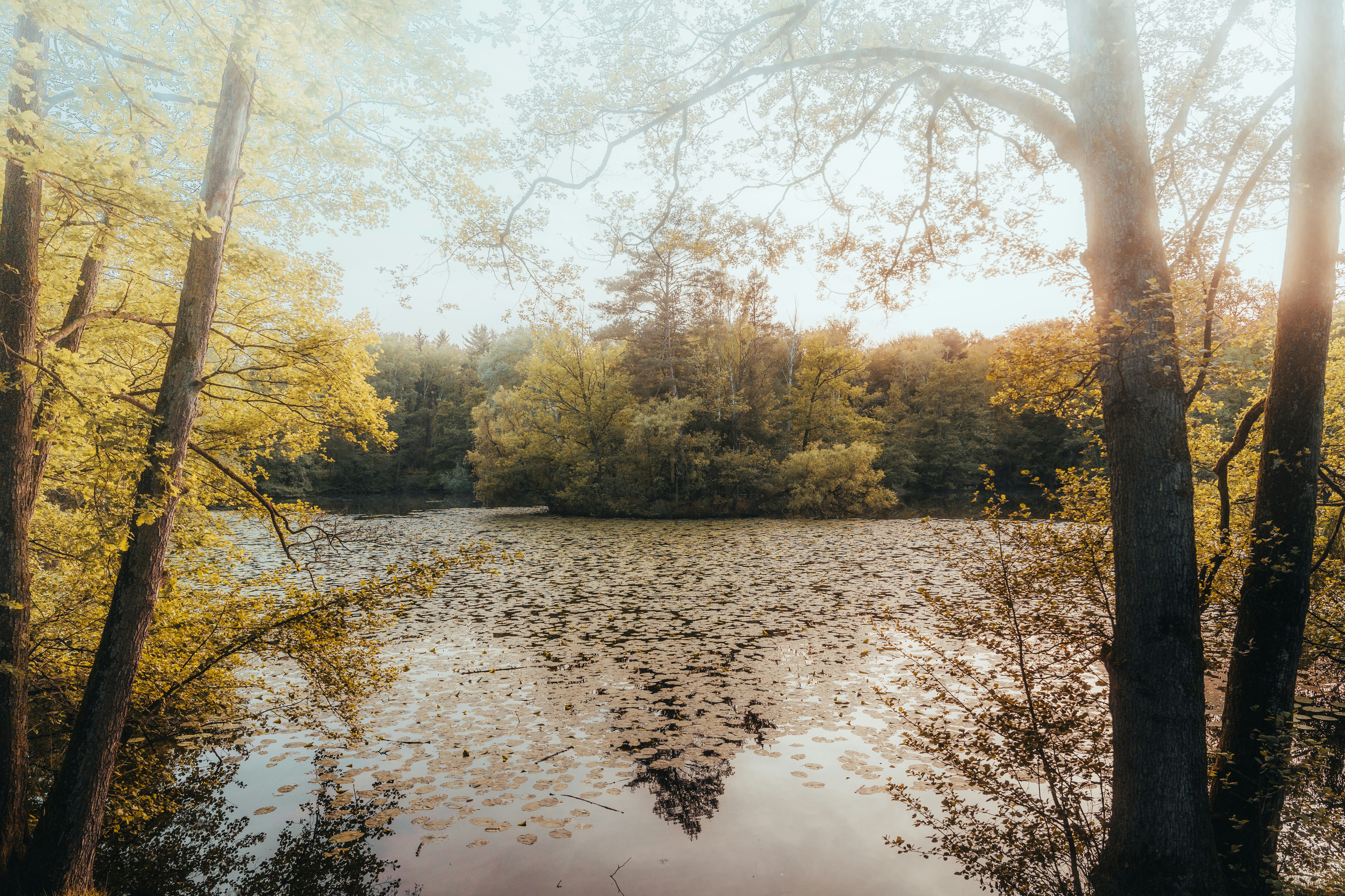 Photo by masoodaslami