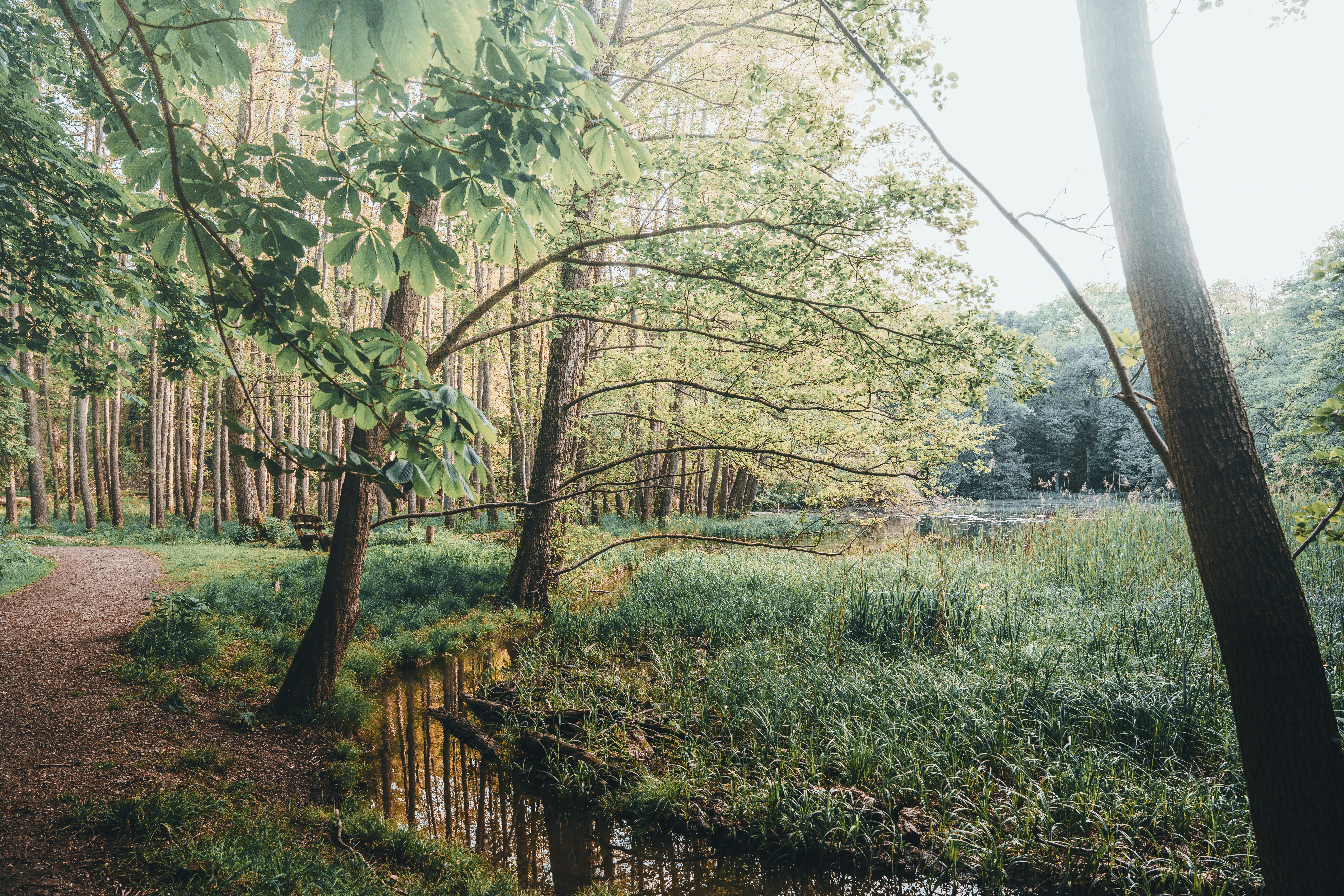 Photo by masoodaslami