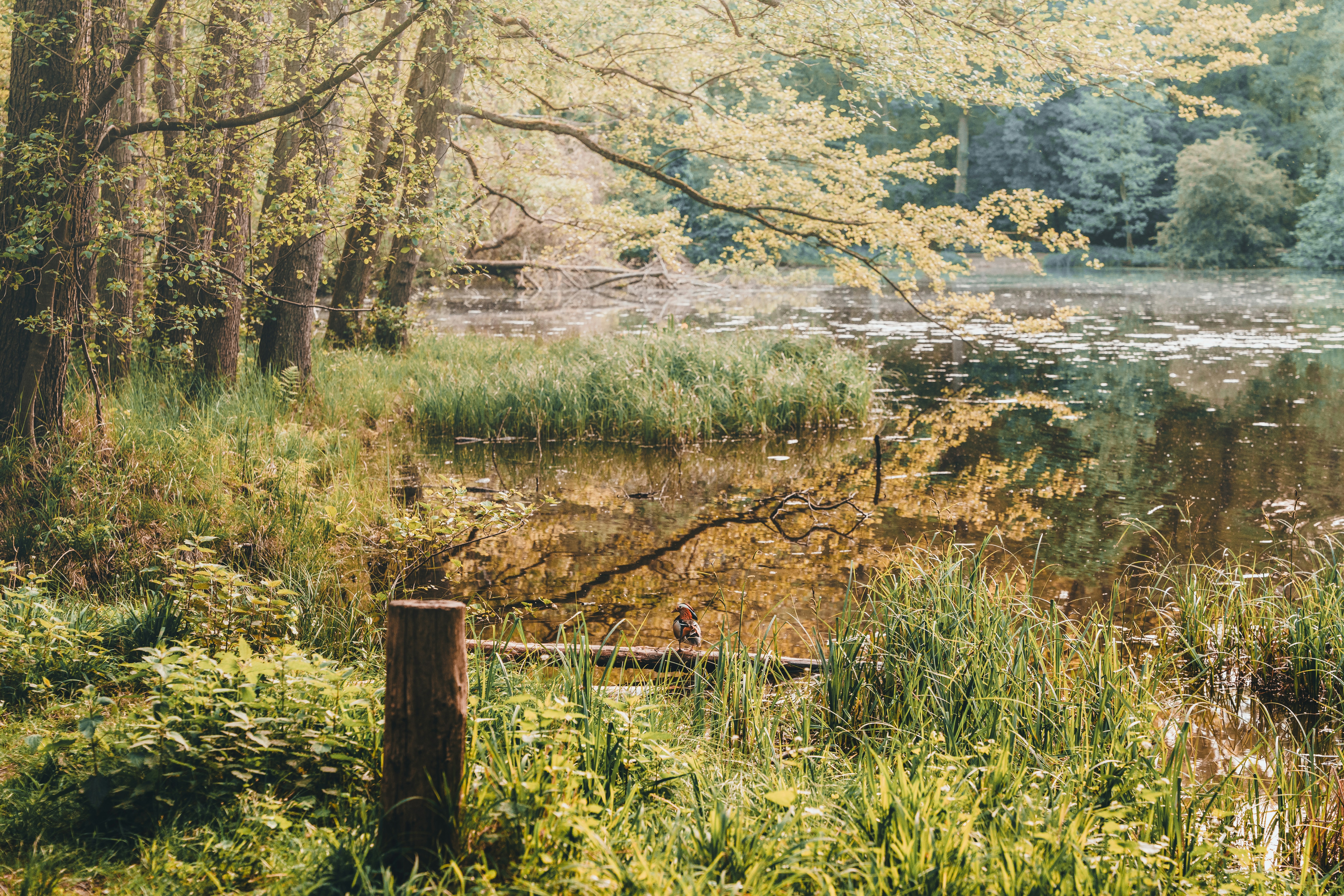 Photo by masoodaslami