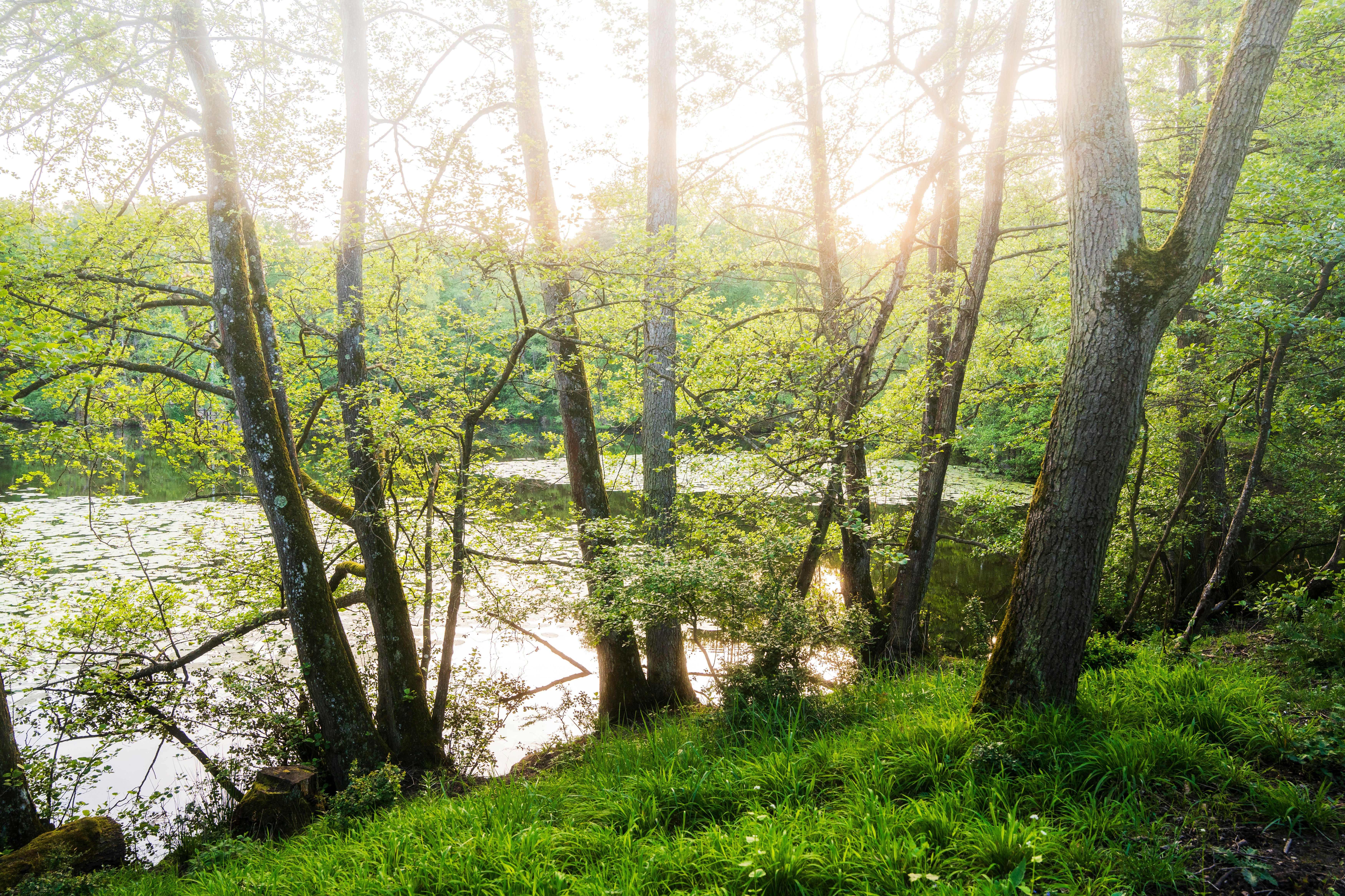 Photo by masoodaslami