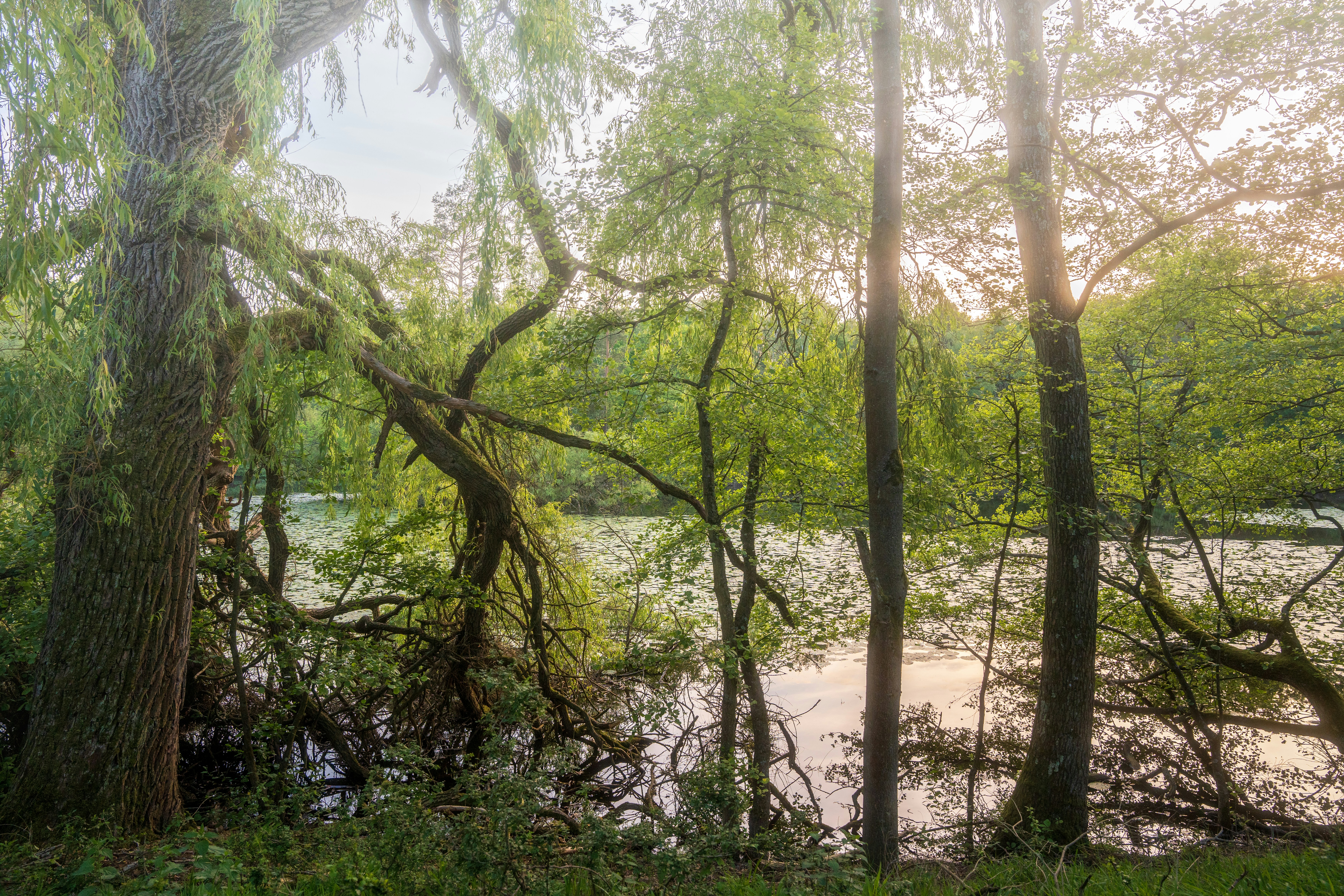 Photo by masoodaslami