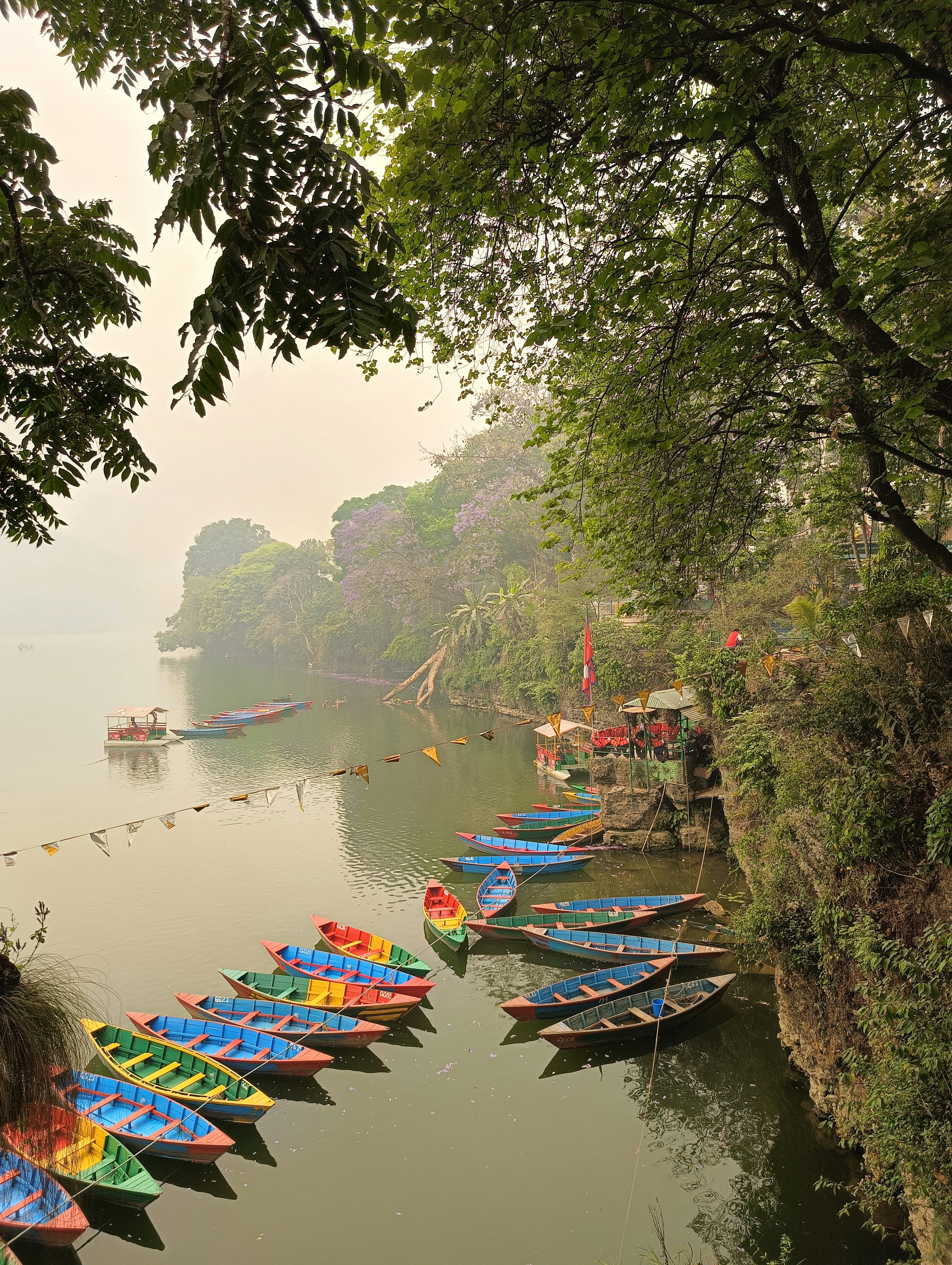 Photo by surajgupta730