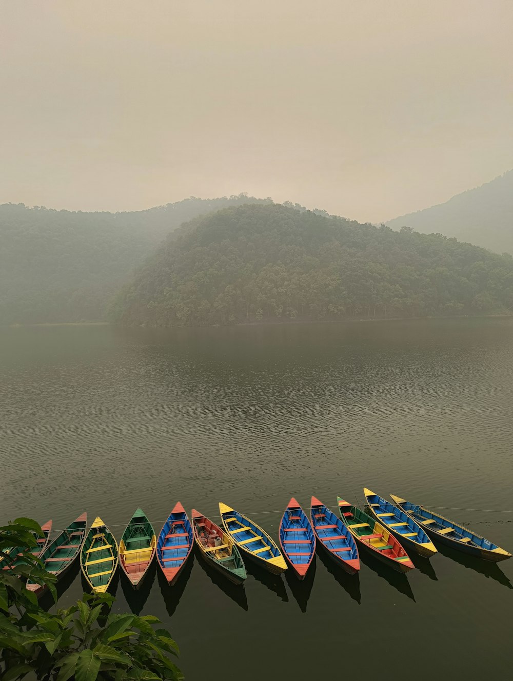 a row of canoes are lined up on a lake