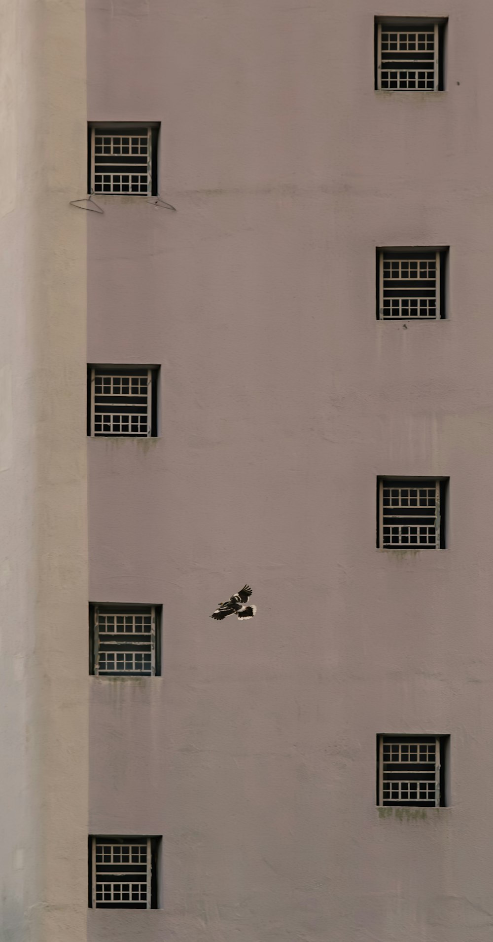 a building with several windows and a bird flying by