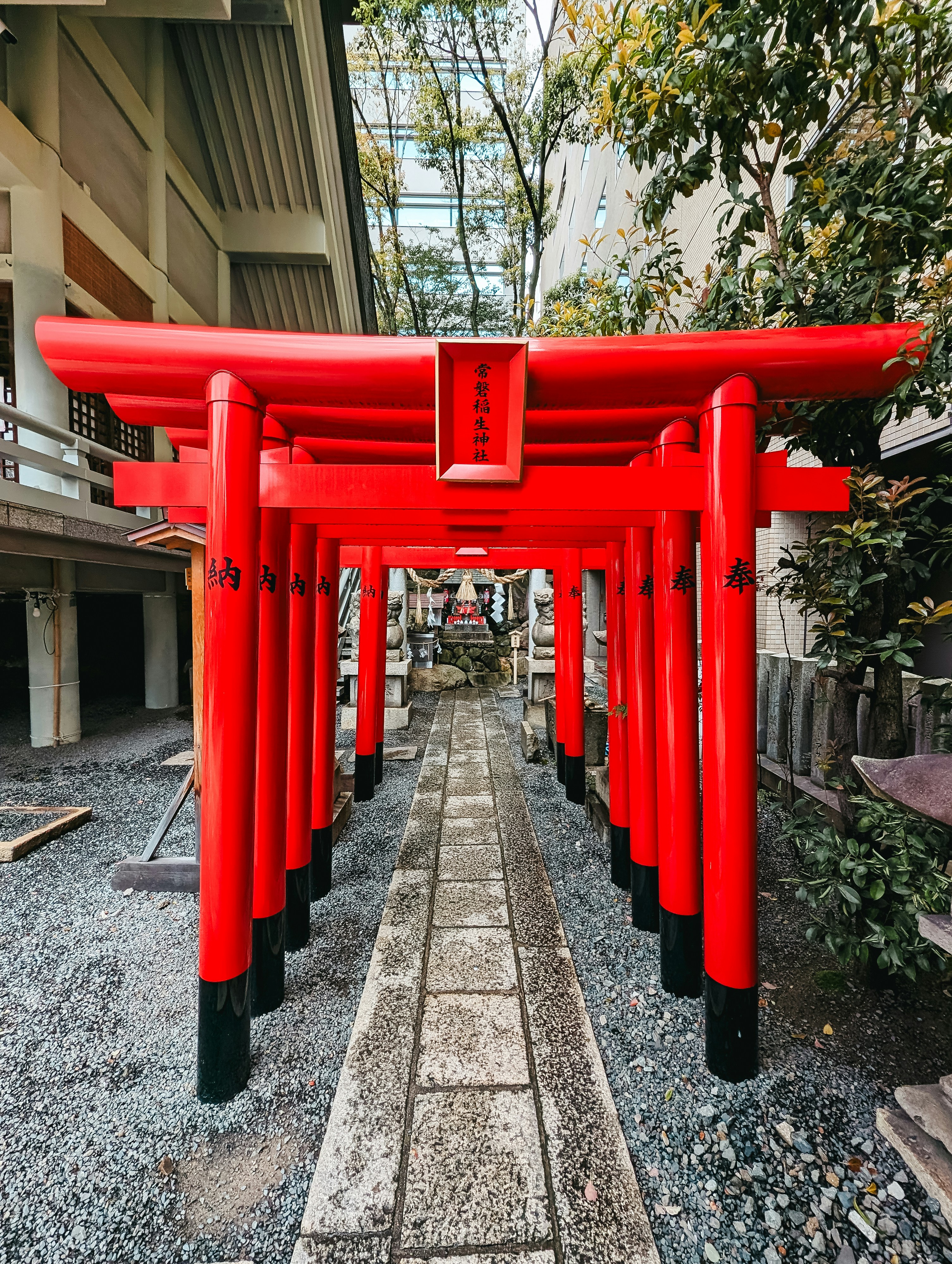 a row of red tori tori tori tori tori tori tori tori tori tori tori tori