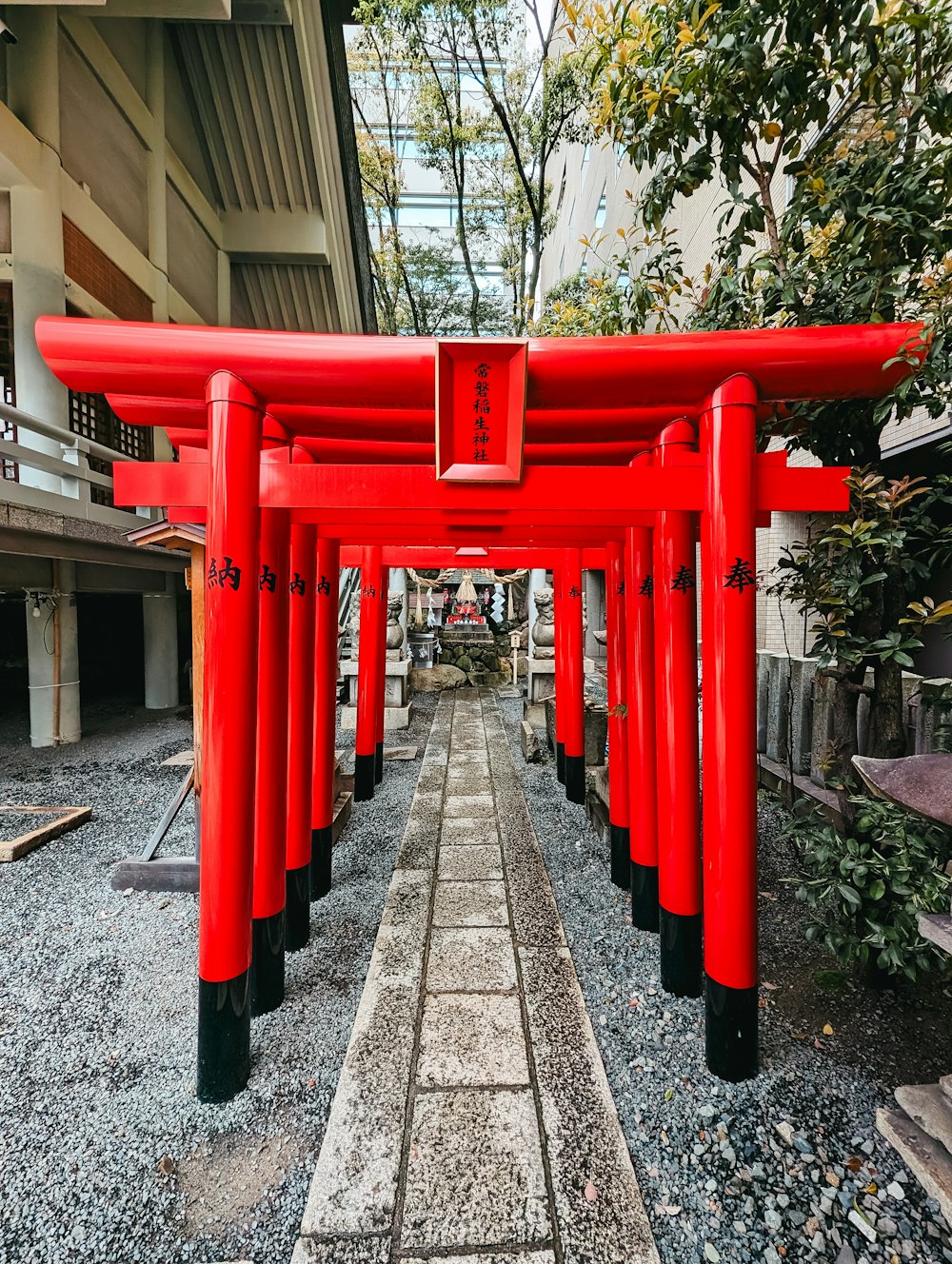 a row of red tori tori tori tori tori tori tori tori tori tori tori tori