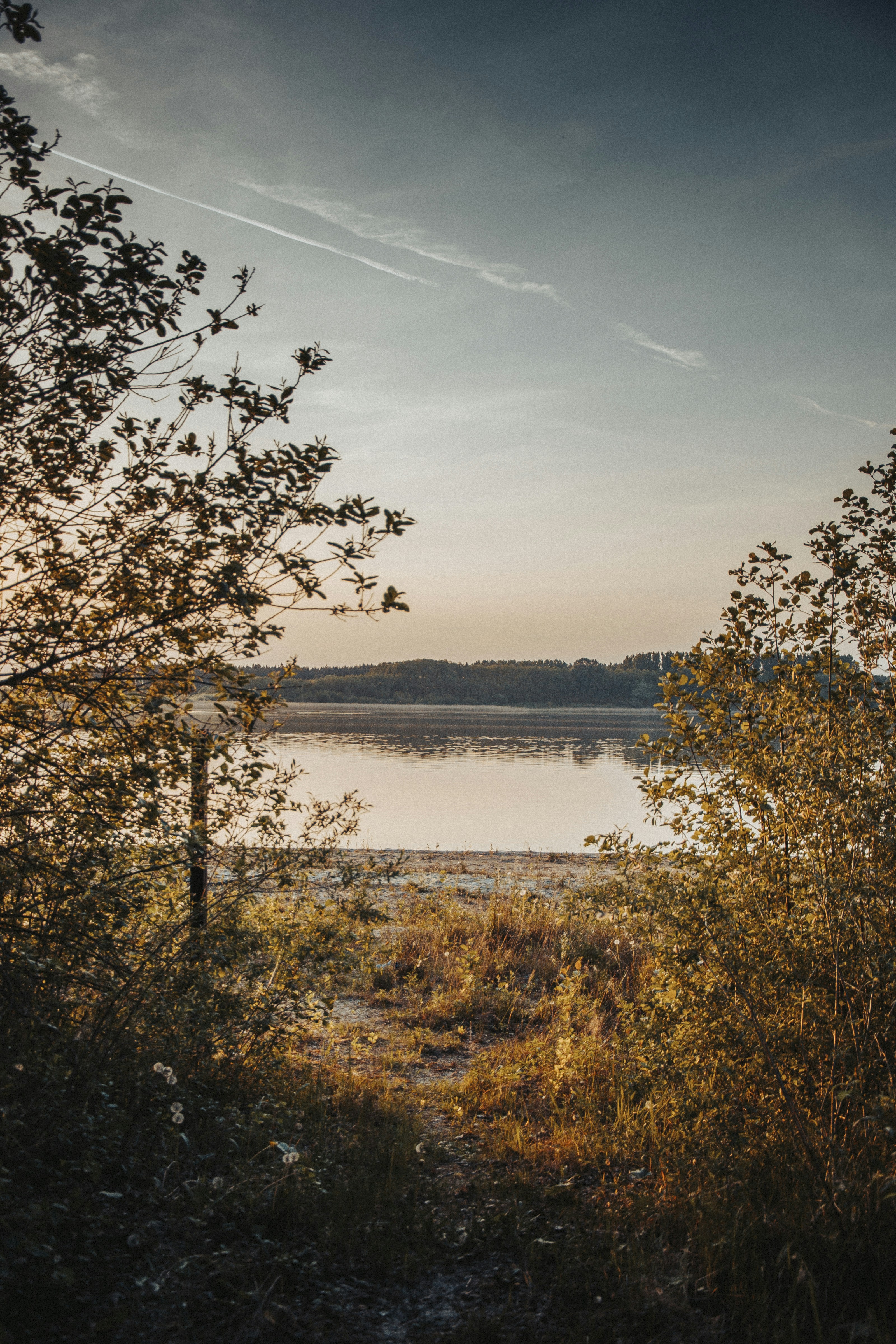 Photo by iamfrancismorgan