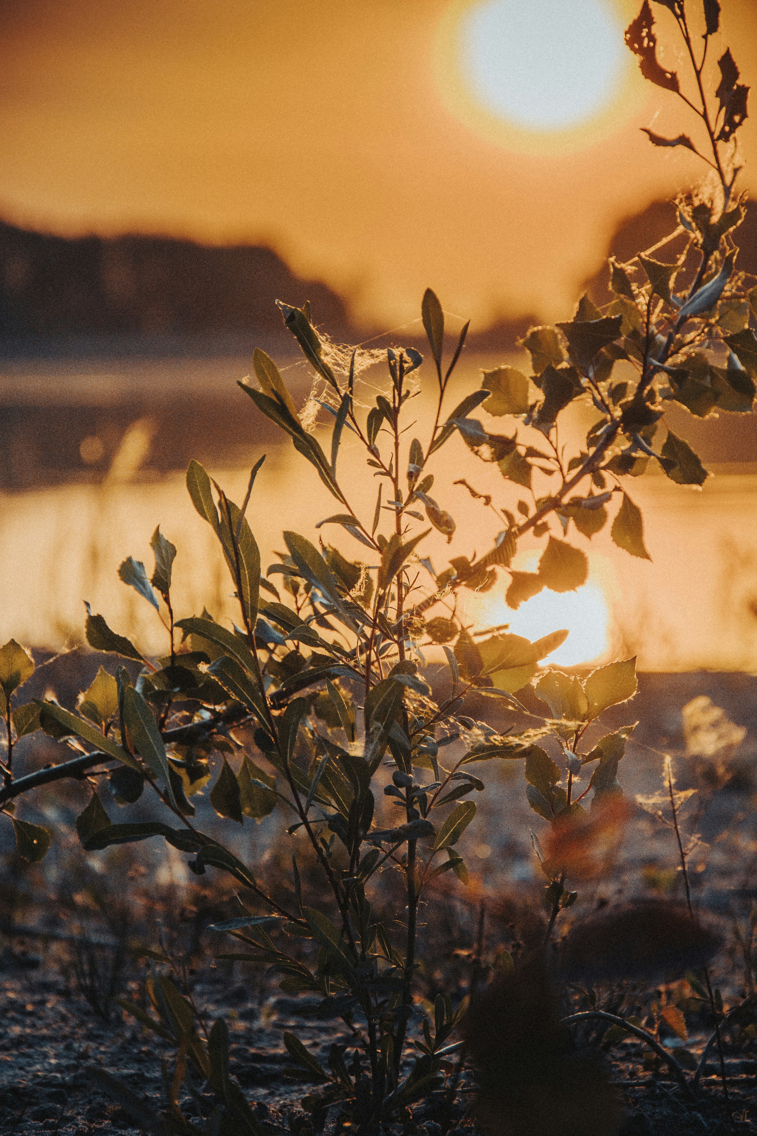 Photo by iamfrancismorgan