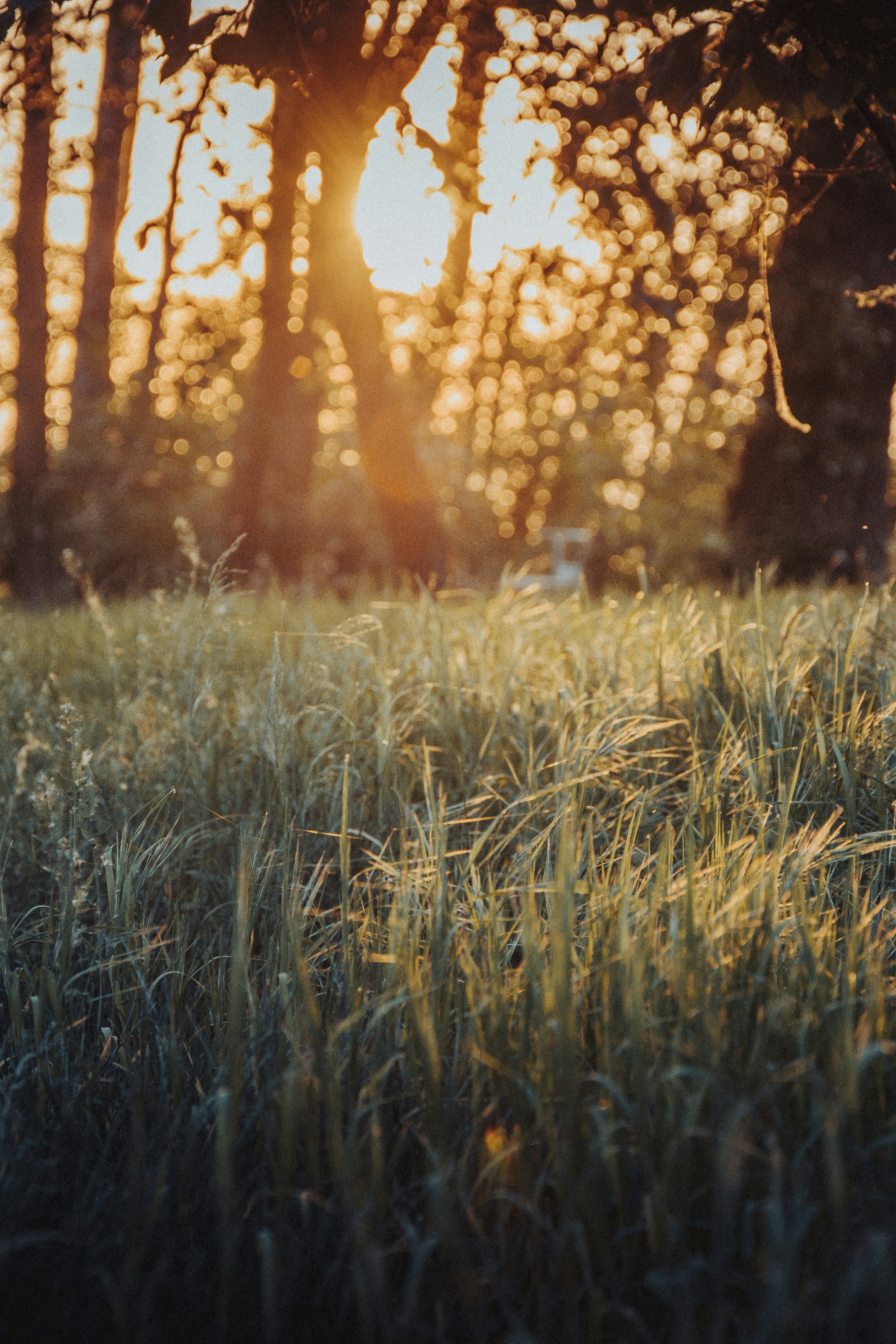 Photo by iamfrancismorgan