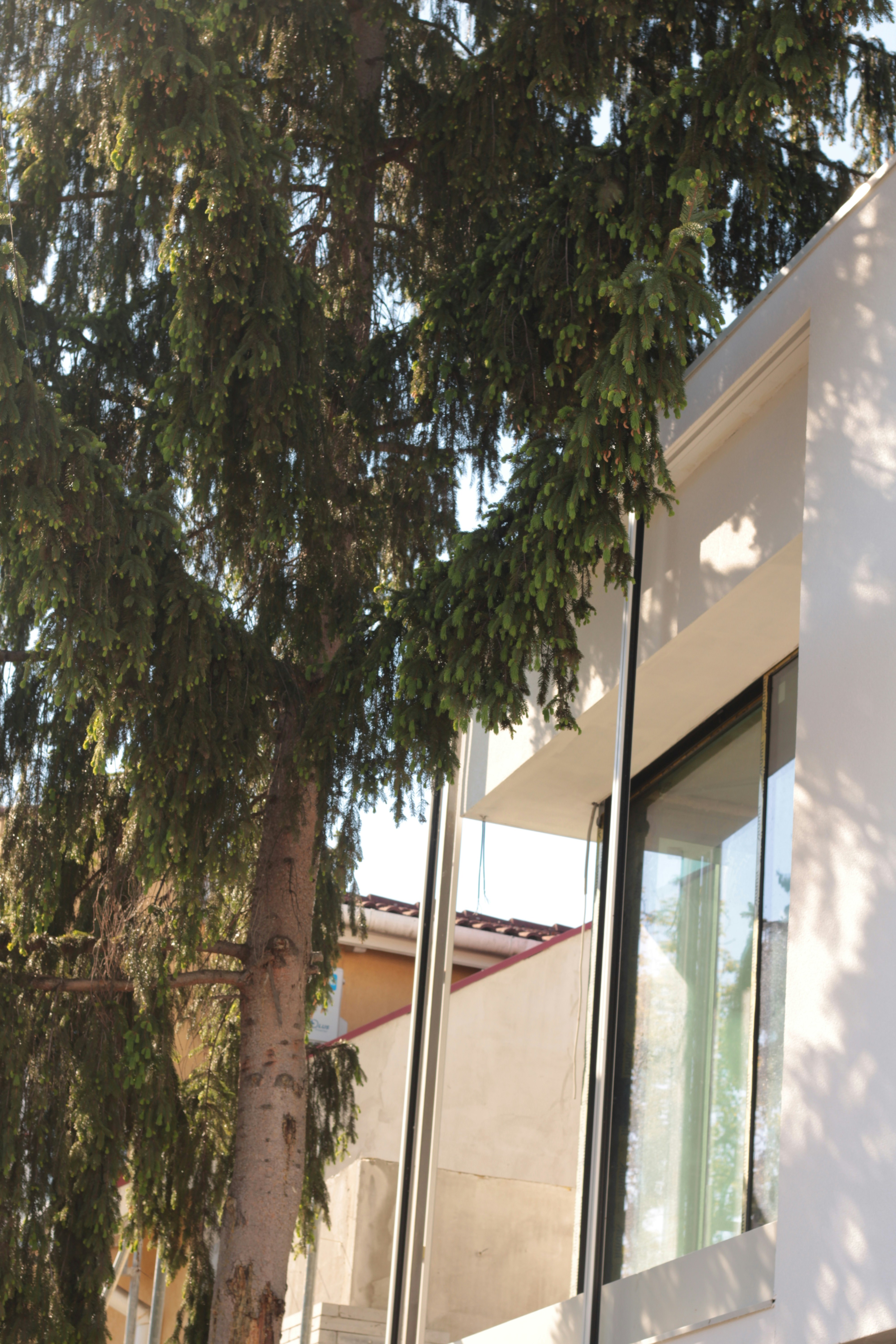 Photo by thorai9akira