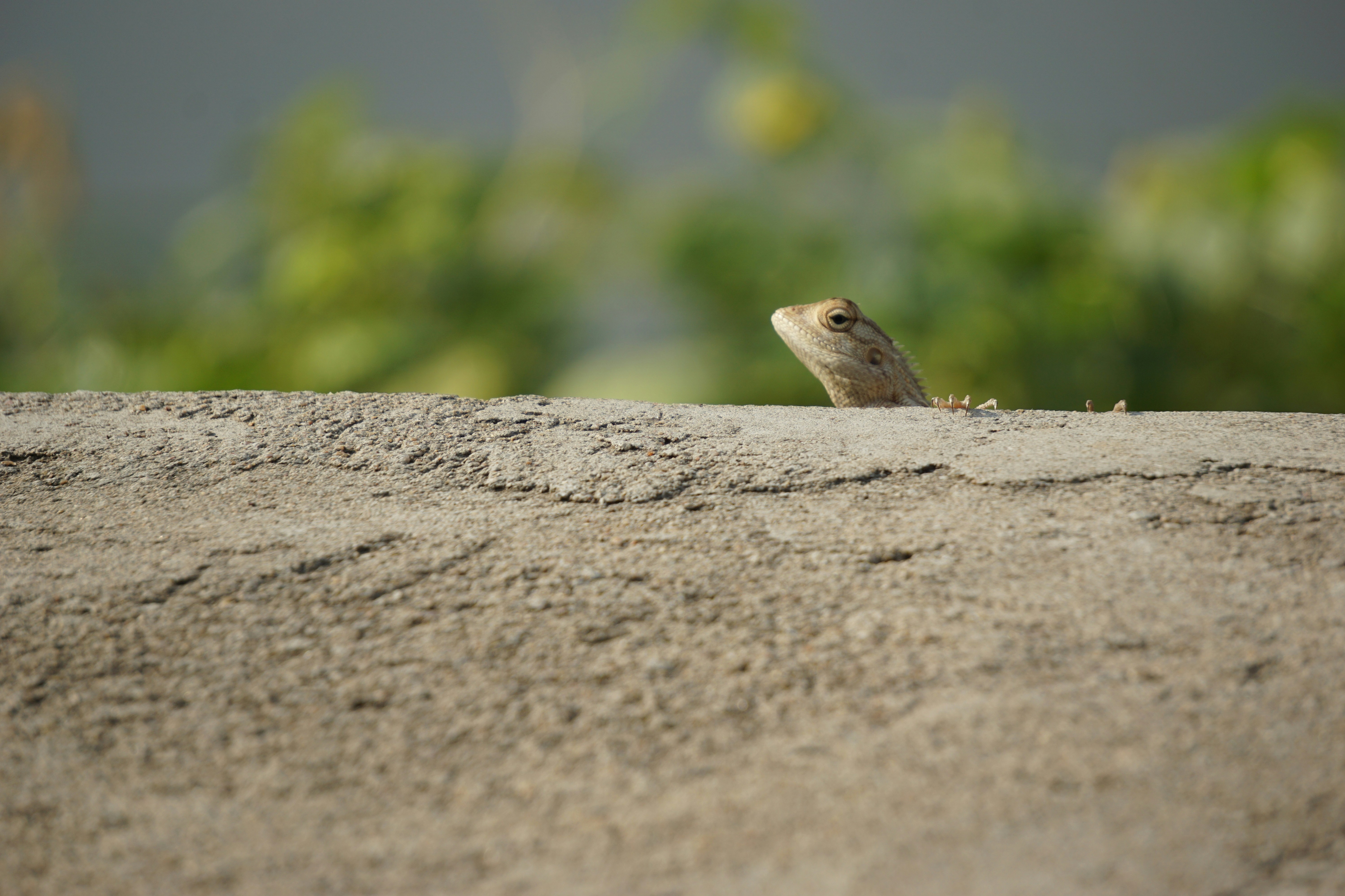 Photo by projectsbylaksh