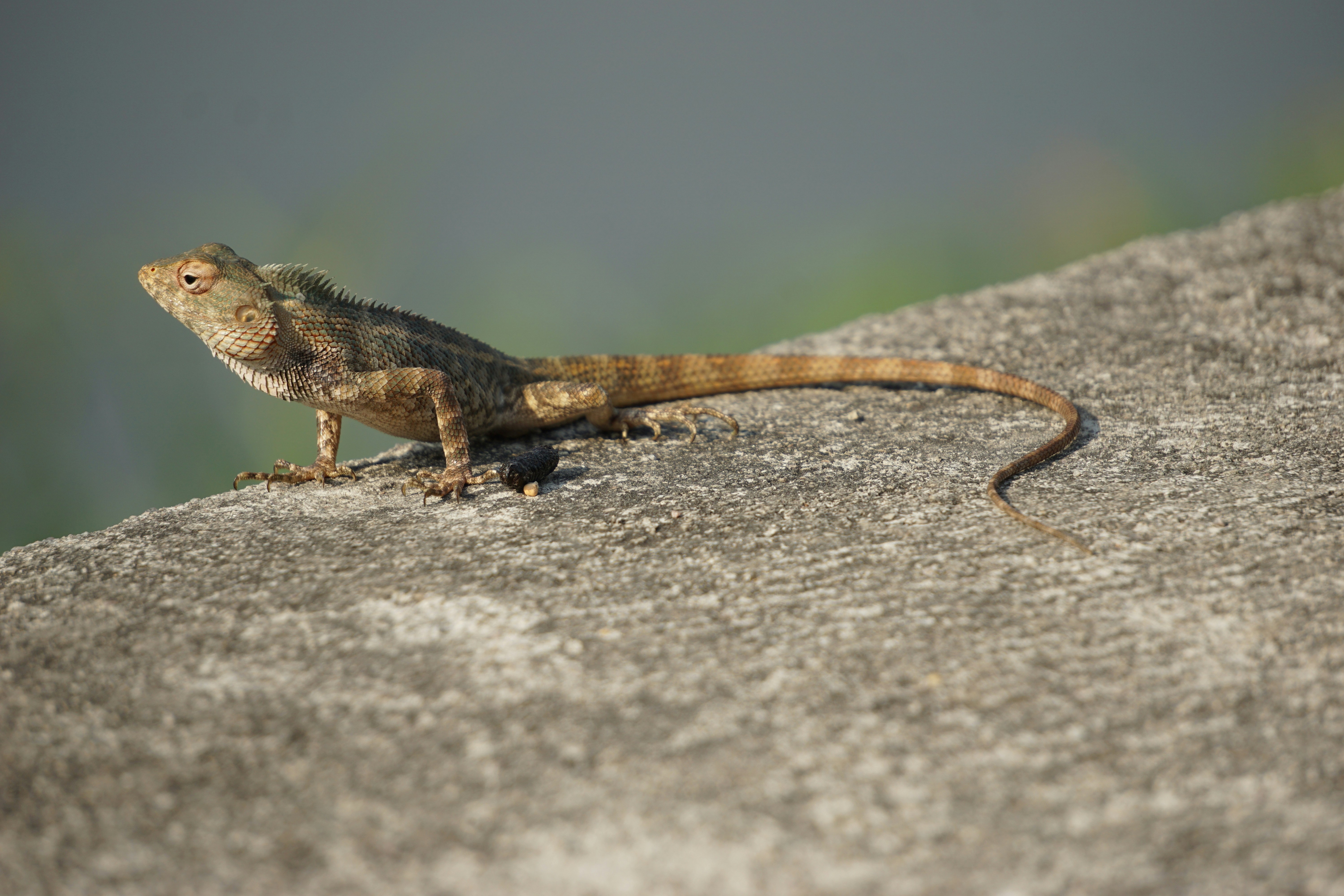 Photo by projectsbylaksh