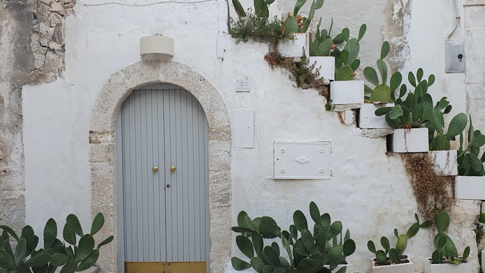 a door and some plants on a wall