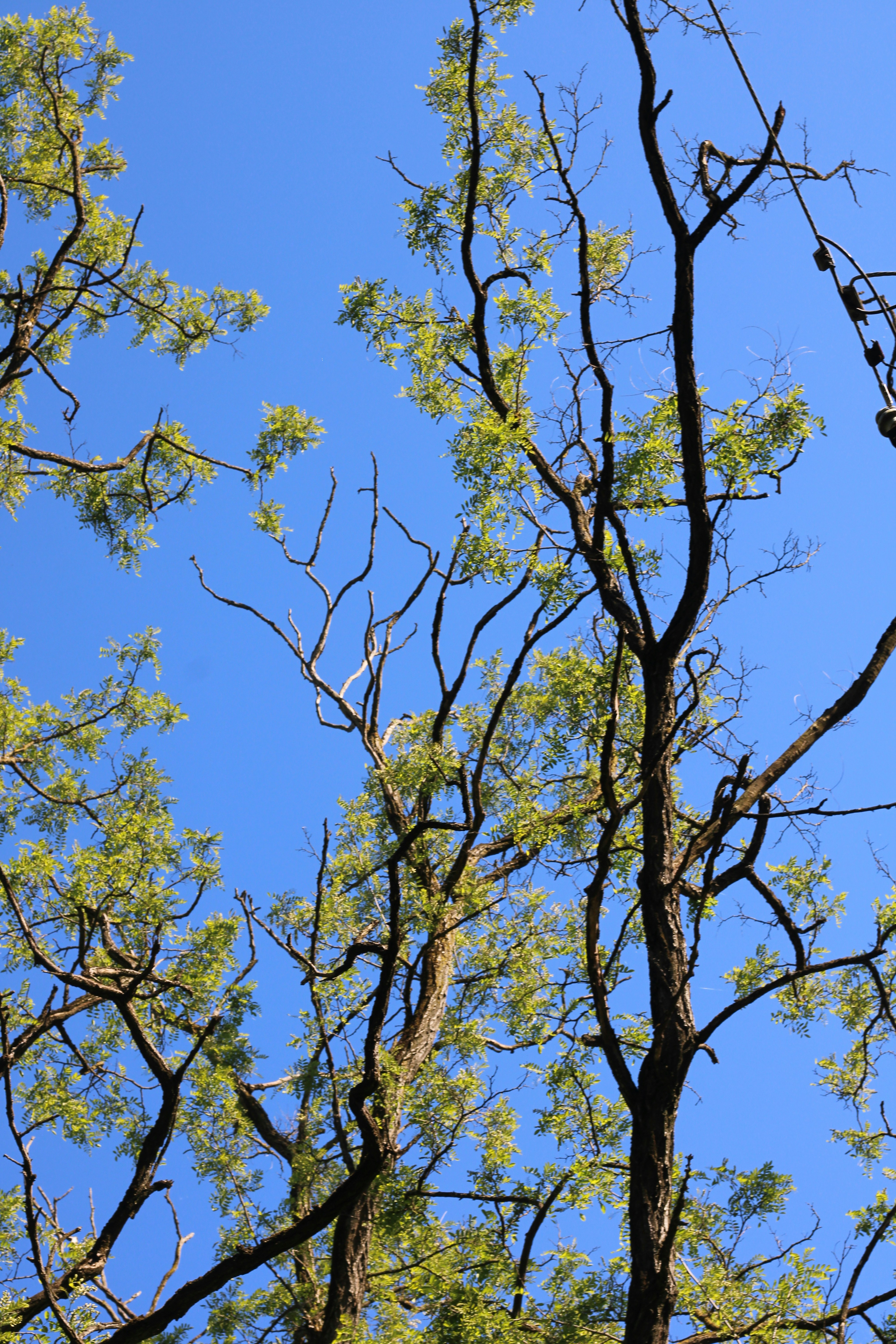 Photo by thorai9akira