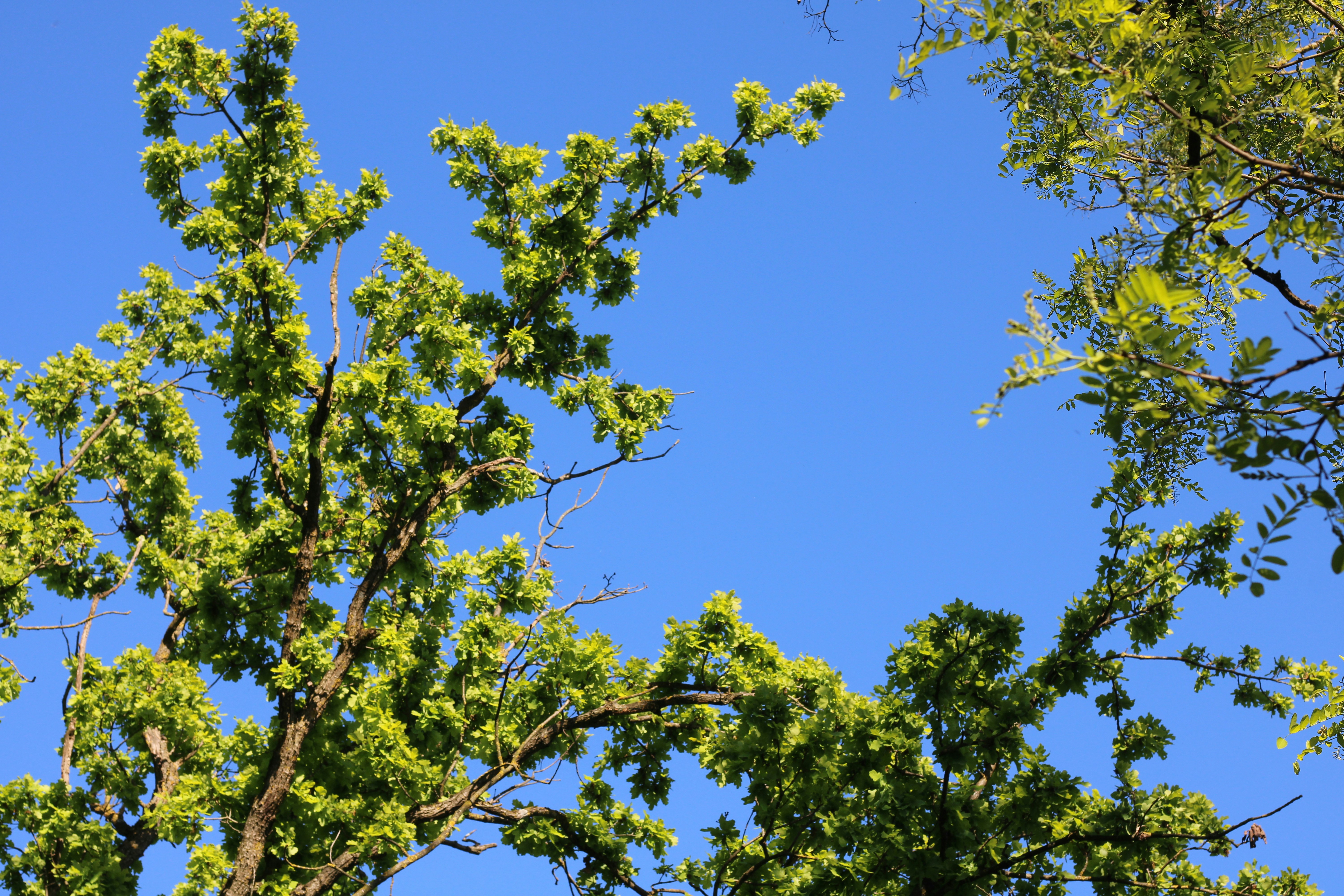 Photo by thorai9akira