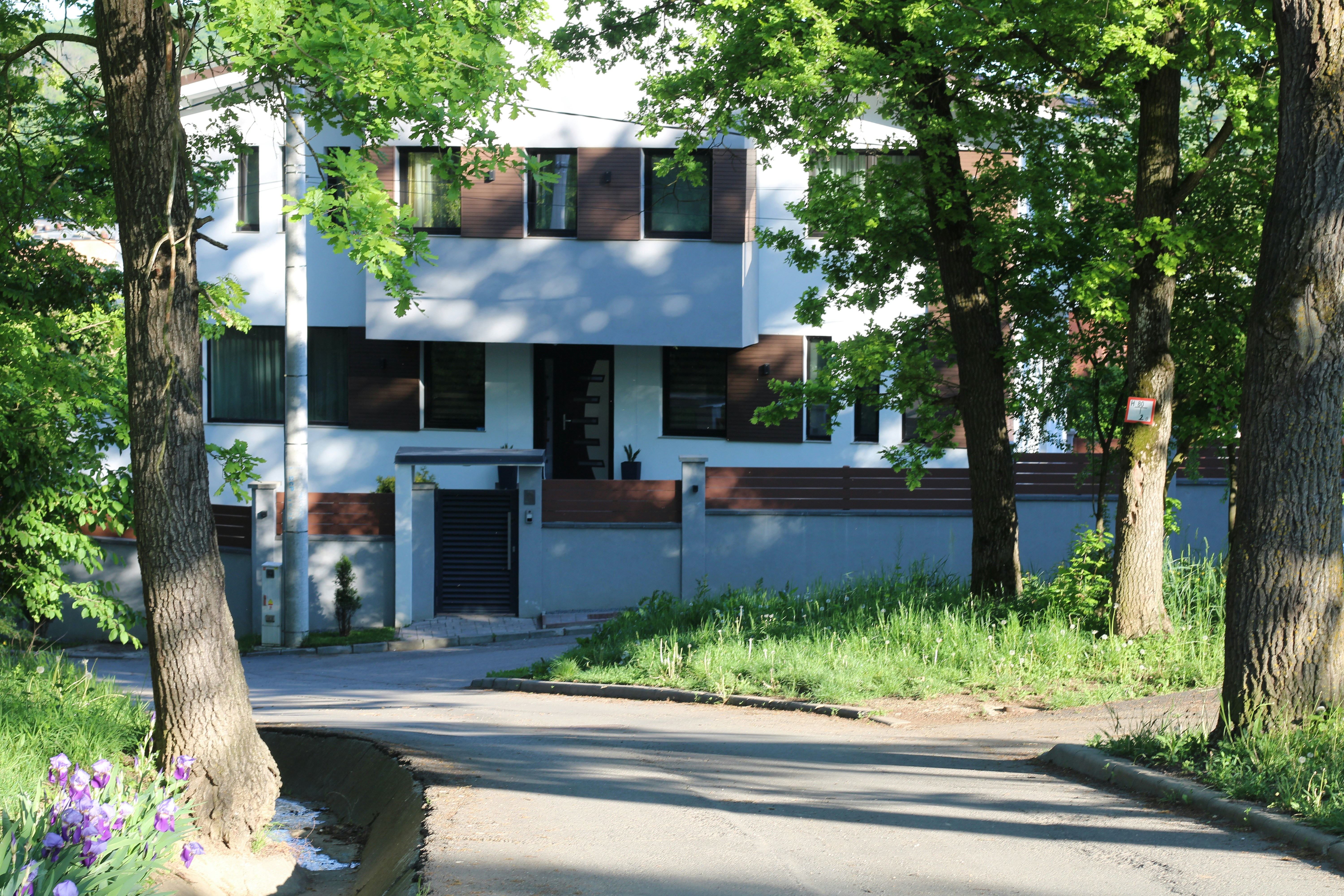 Photo by thorai9akira