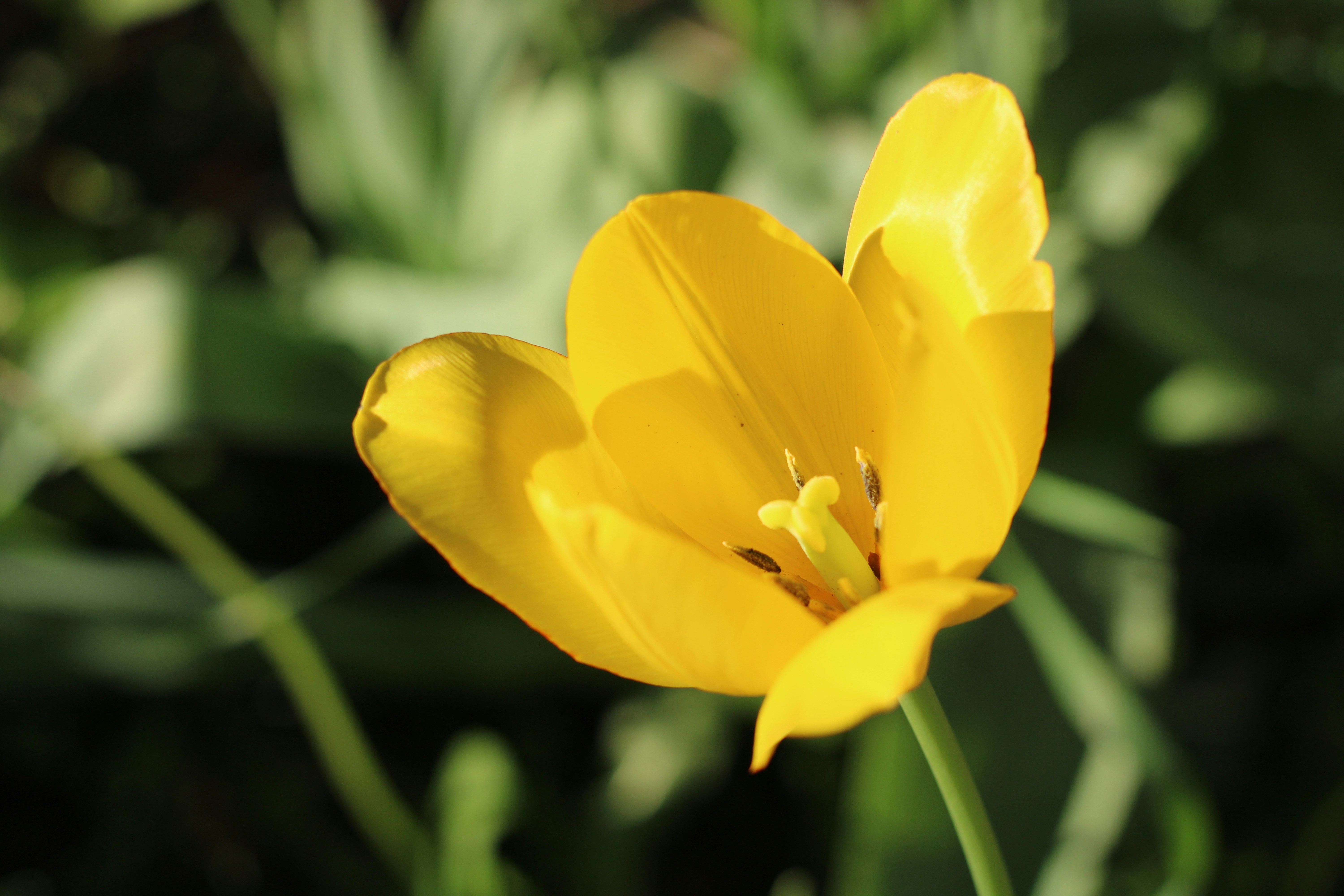 Photo by thorai9akira