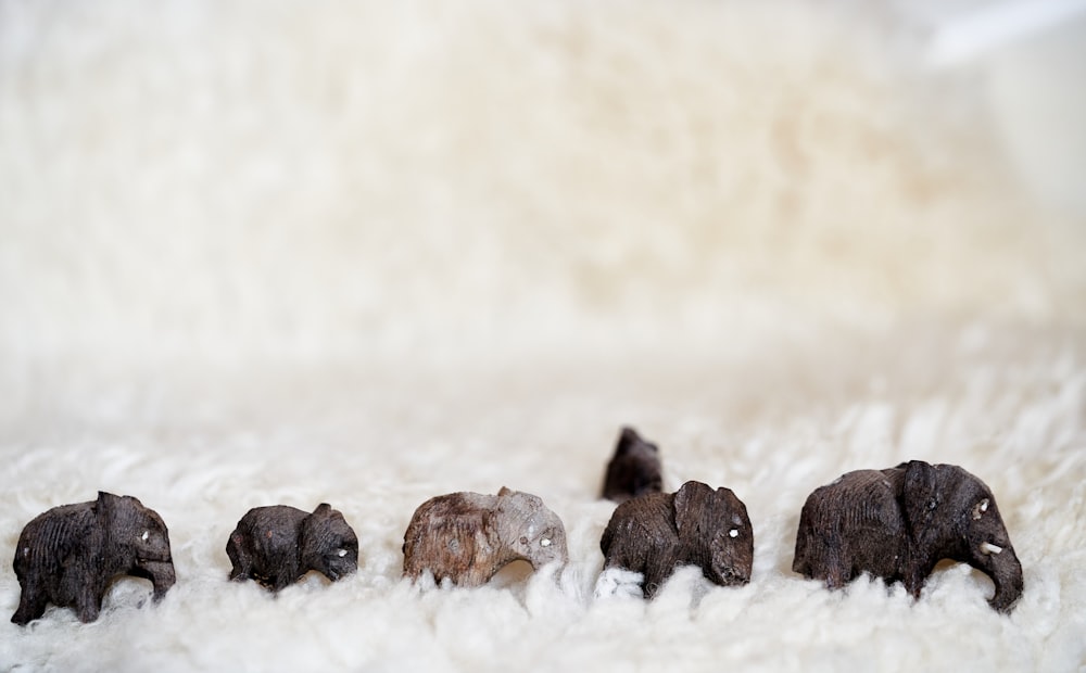 a herd of elephants walking across a white rug