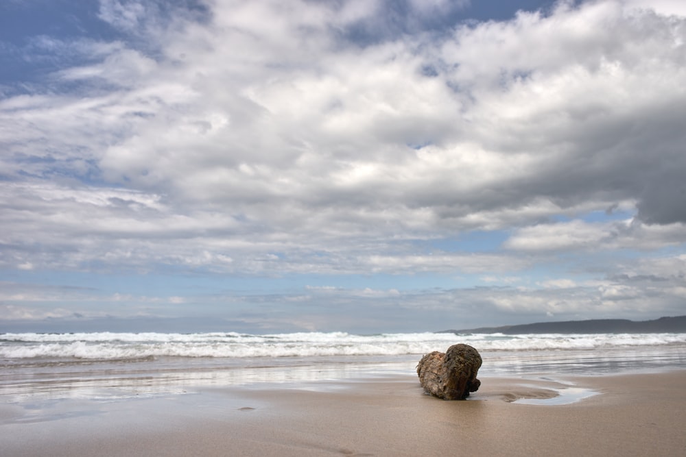 a rock sitting on top of a sandy beach