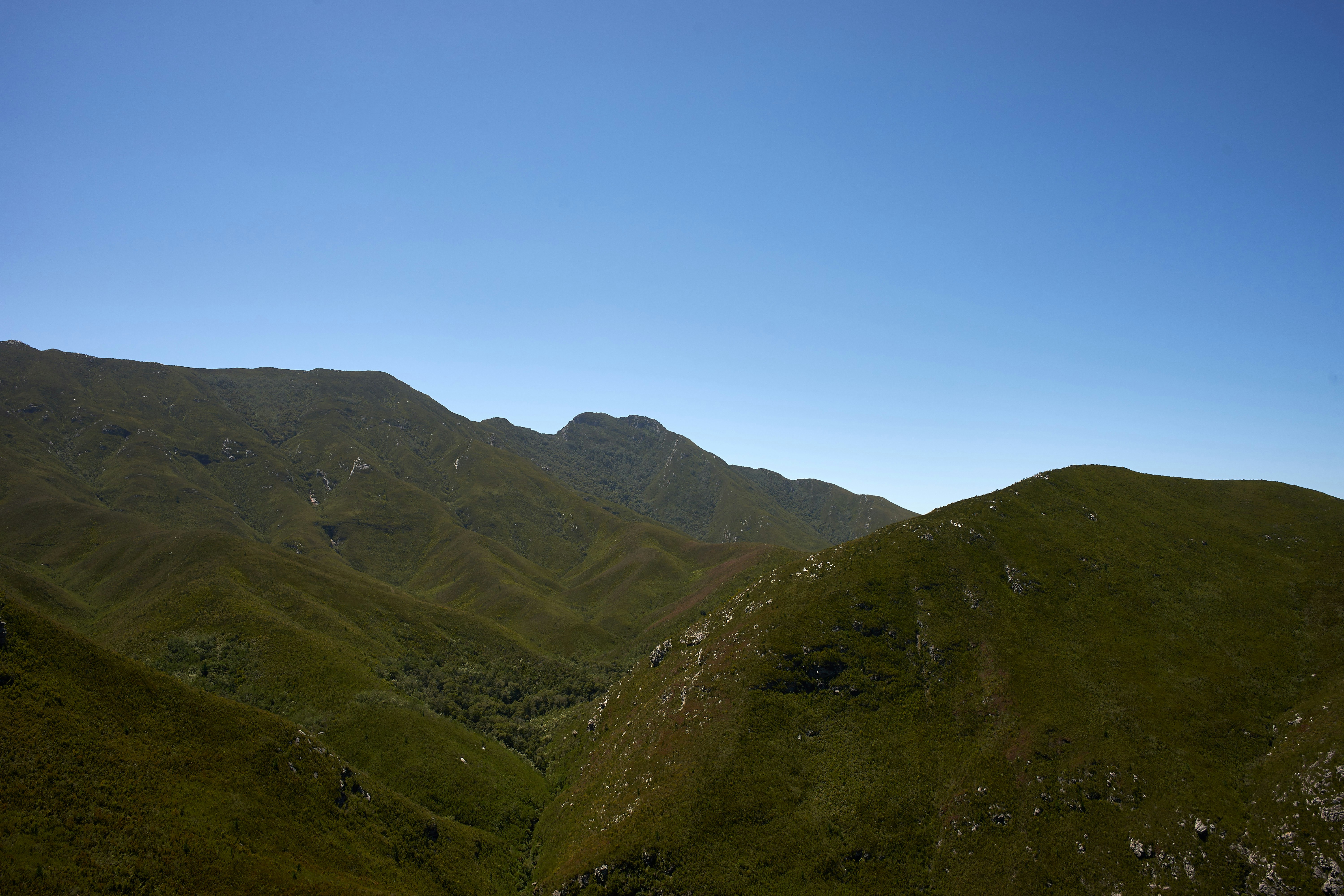 Photo by wolfgang_hasselmann