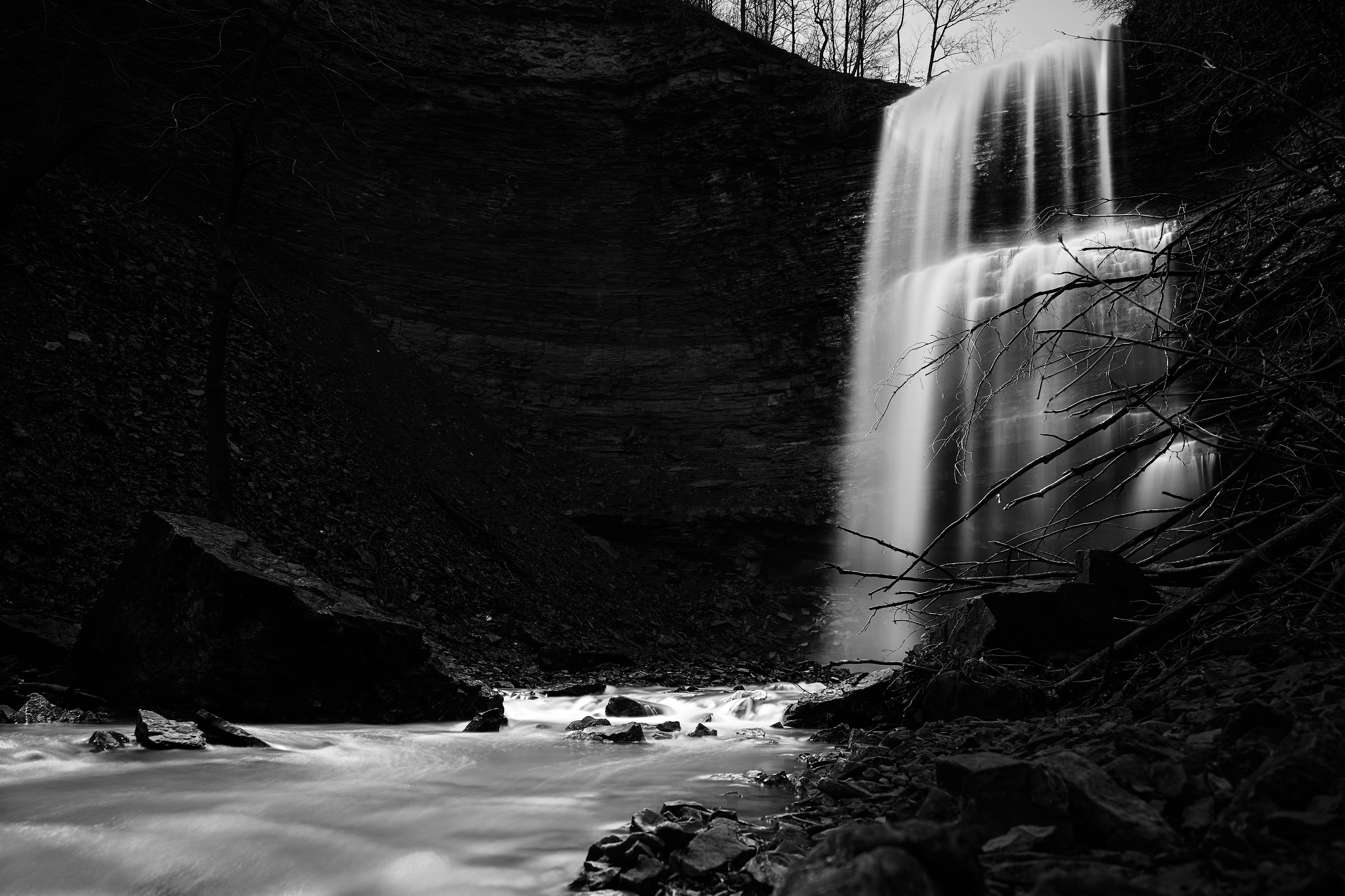 Photo by wolfgang_hasselmann