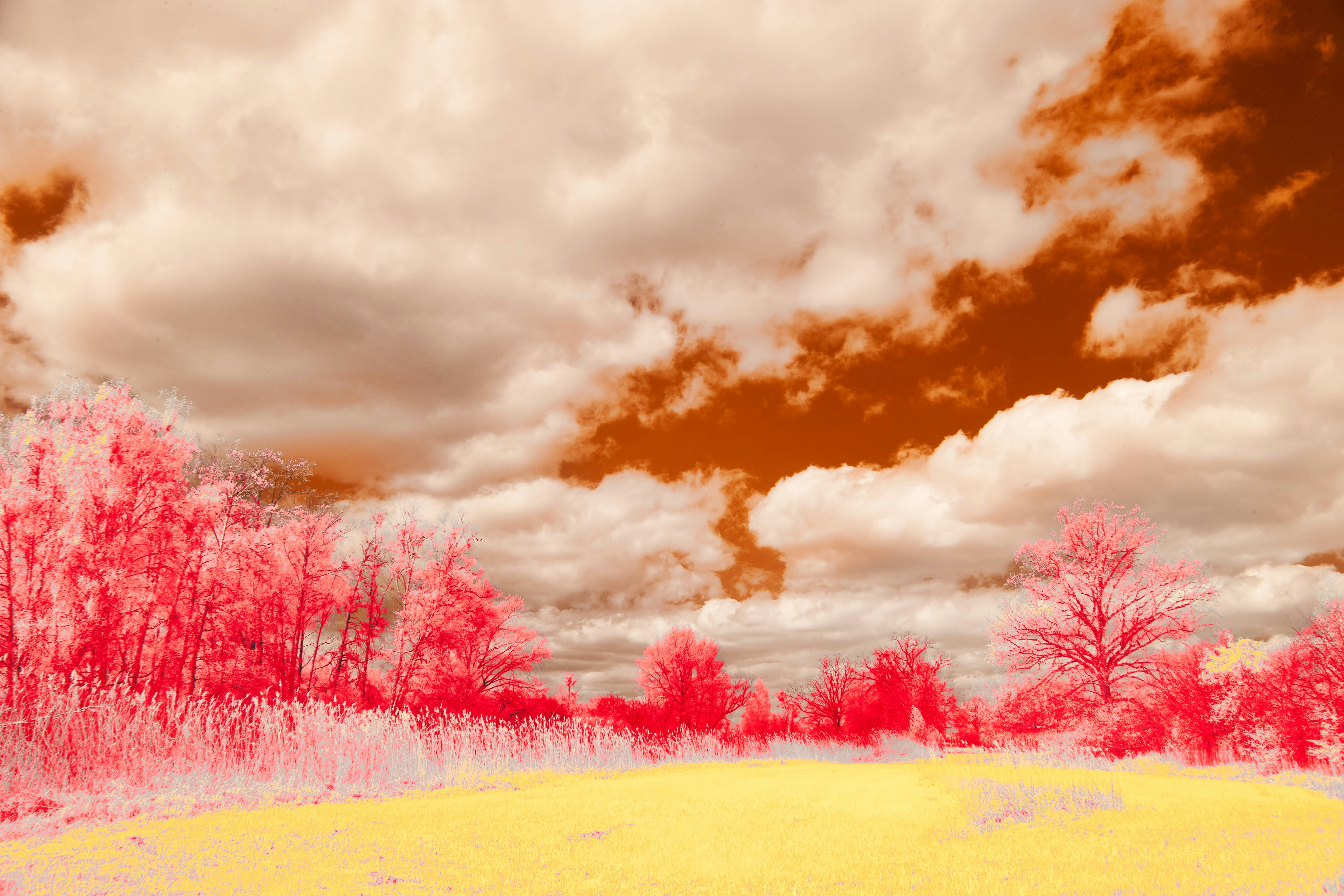 Photo by wolfgang_hasselmann